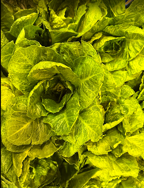 Screenshot 2026-02-16 at 8.50.09 PM.png