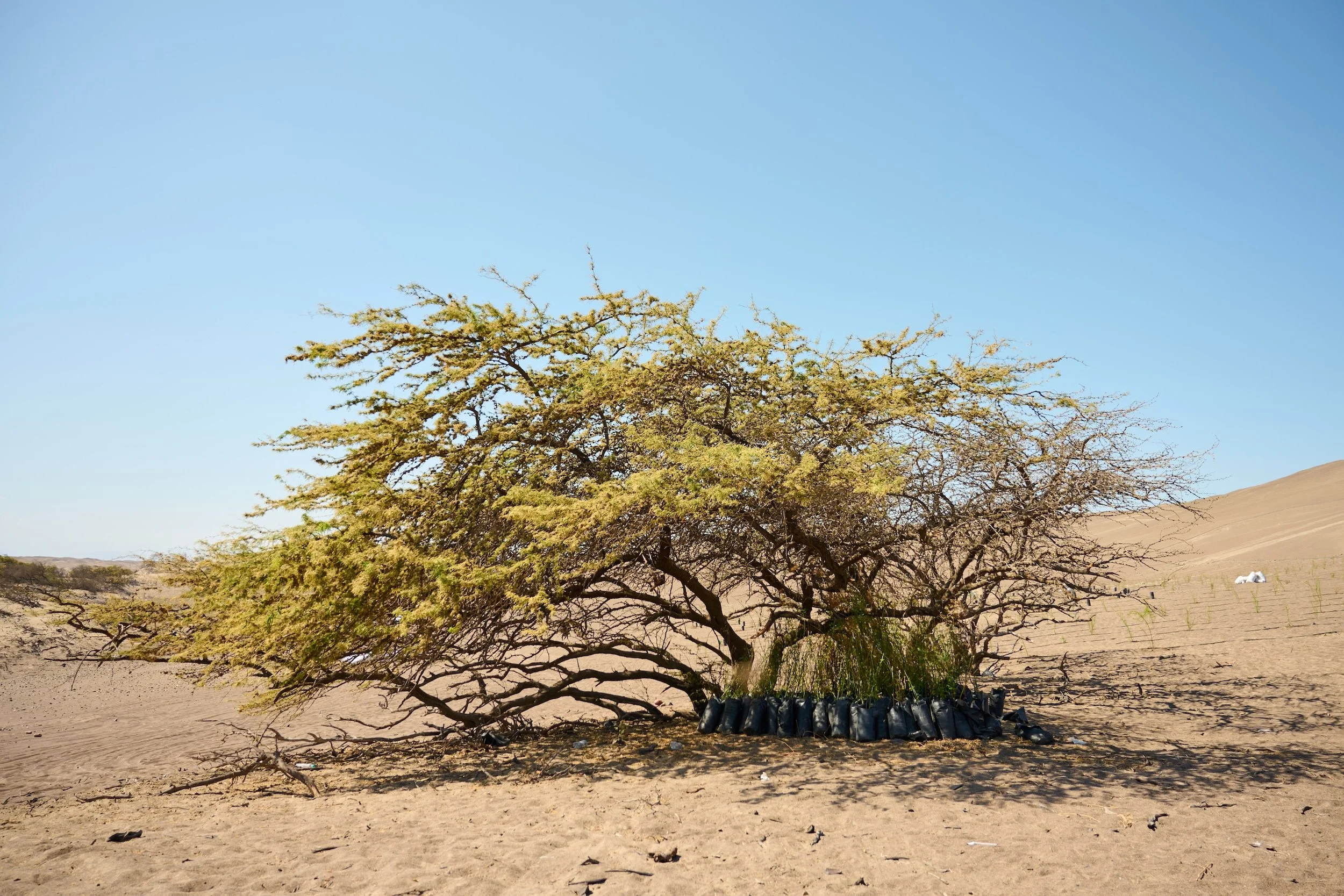 Copia de _DSC7018.jpg
