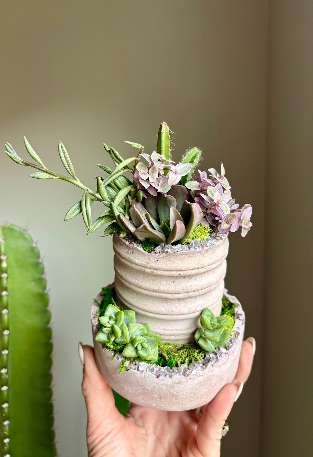 Plant Your Intentions-A Yoga and Succulents Class on Wednesday, May 13th at 6:15 p.m.