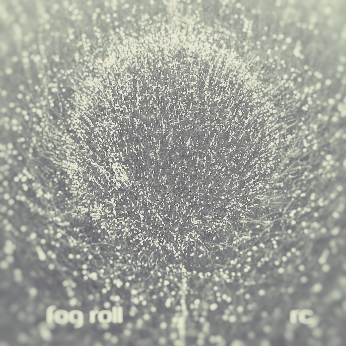 Fog Roll by ray che - music track artwork (click & play)