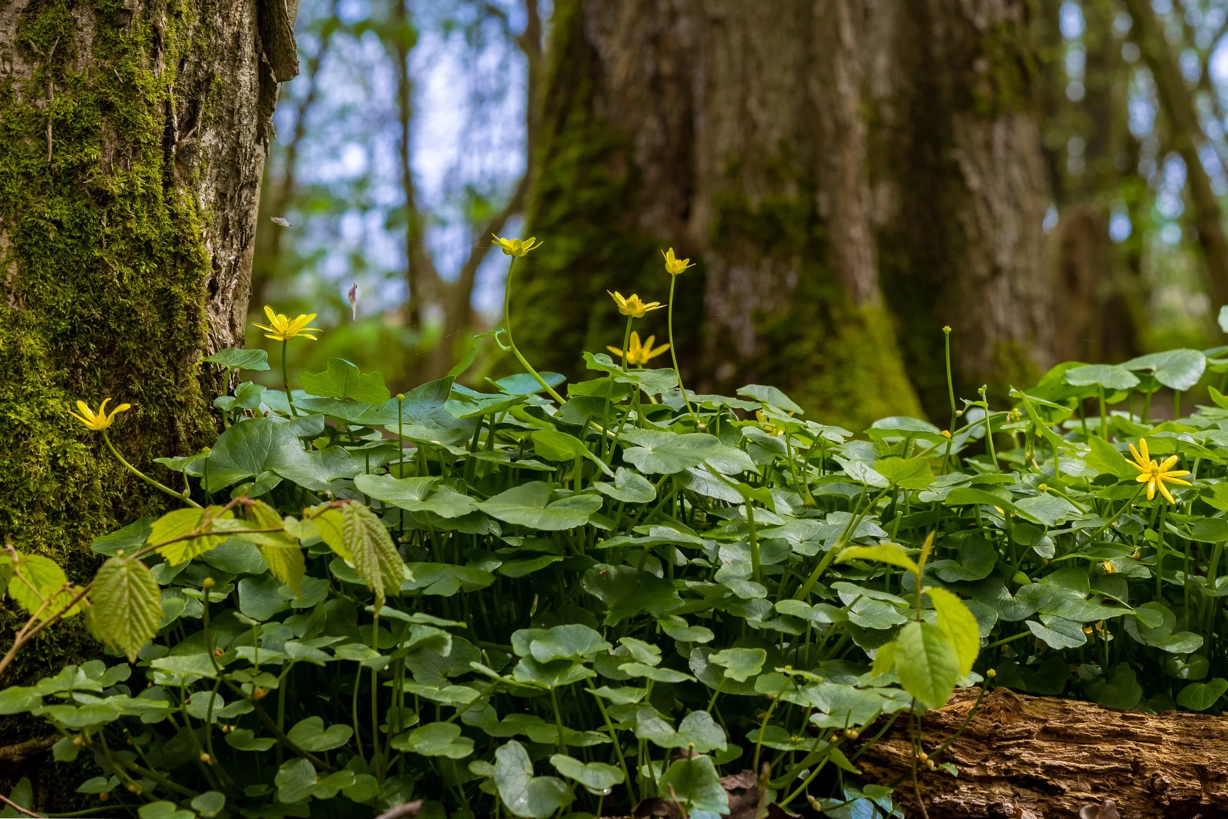 0U8A3001-HDR-2.jpg