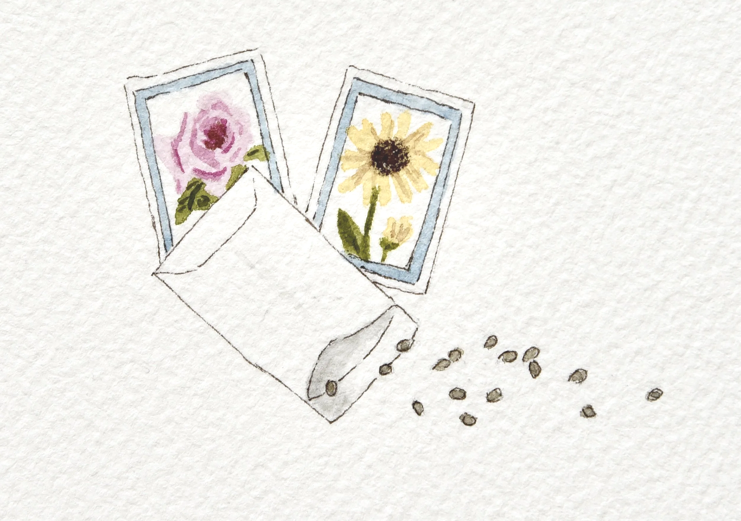 Planting Seeds of Possibility