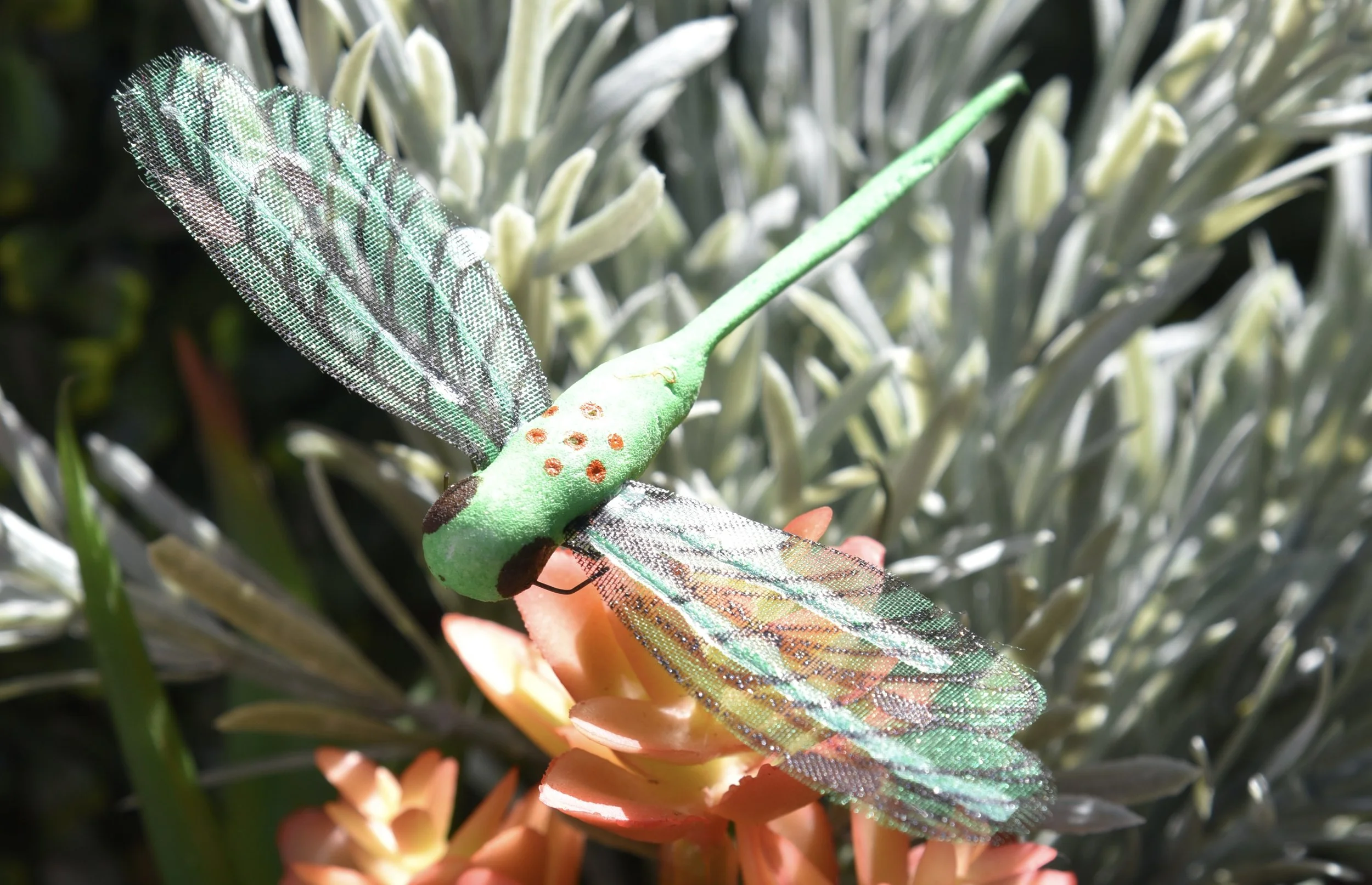 13 Dragonfly Lane