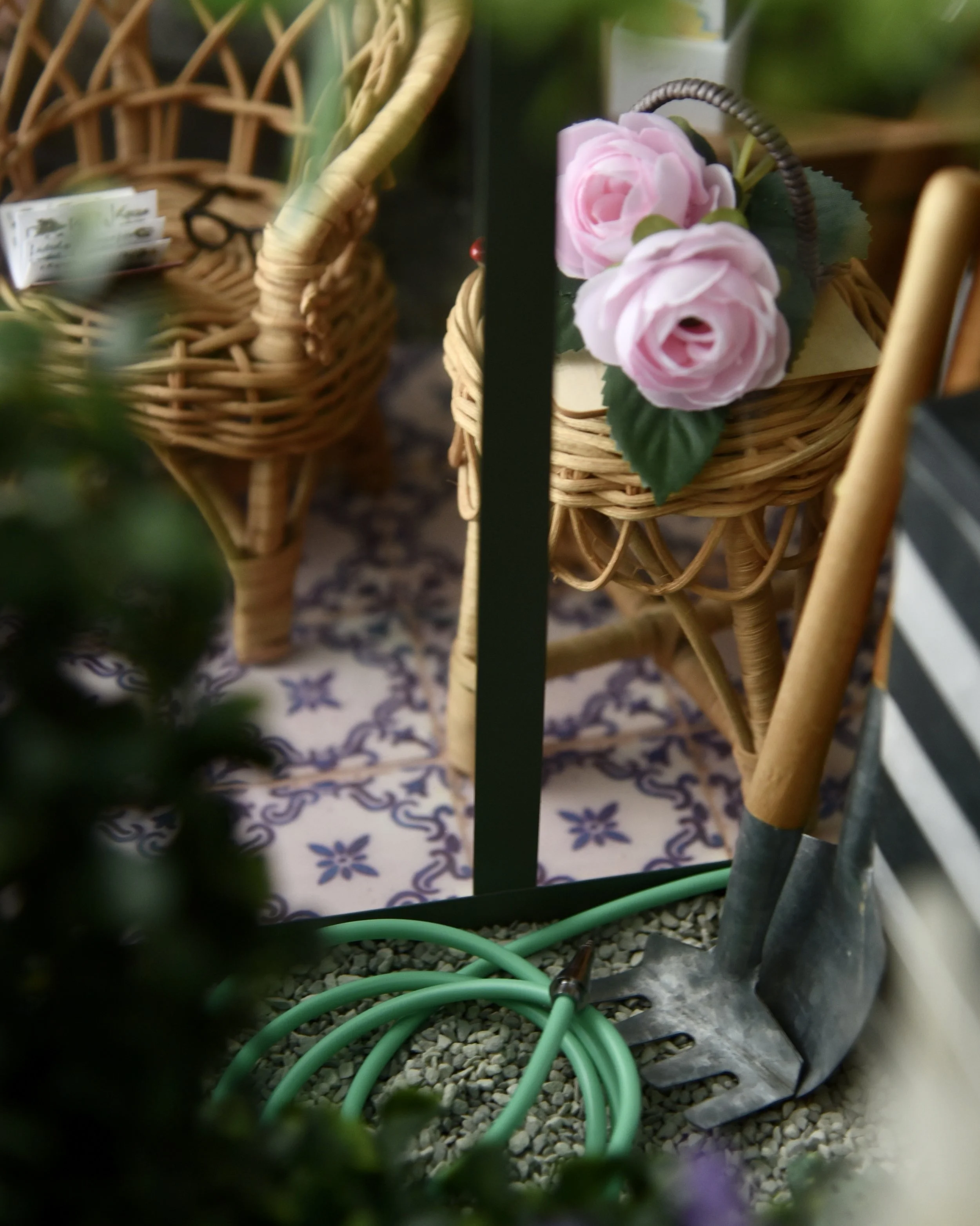 DSC_8187.JPG