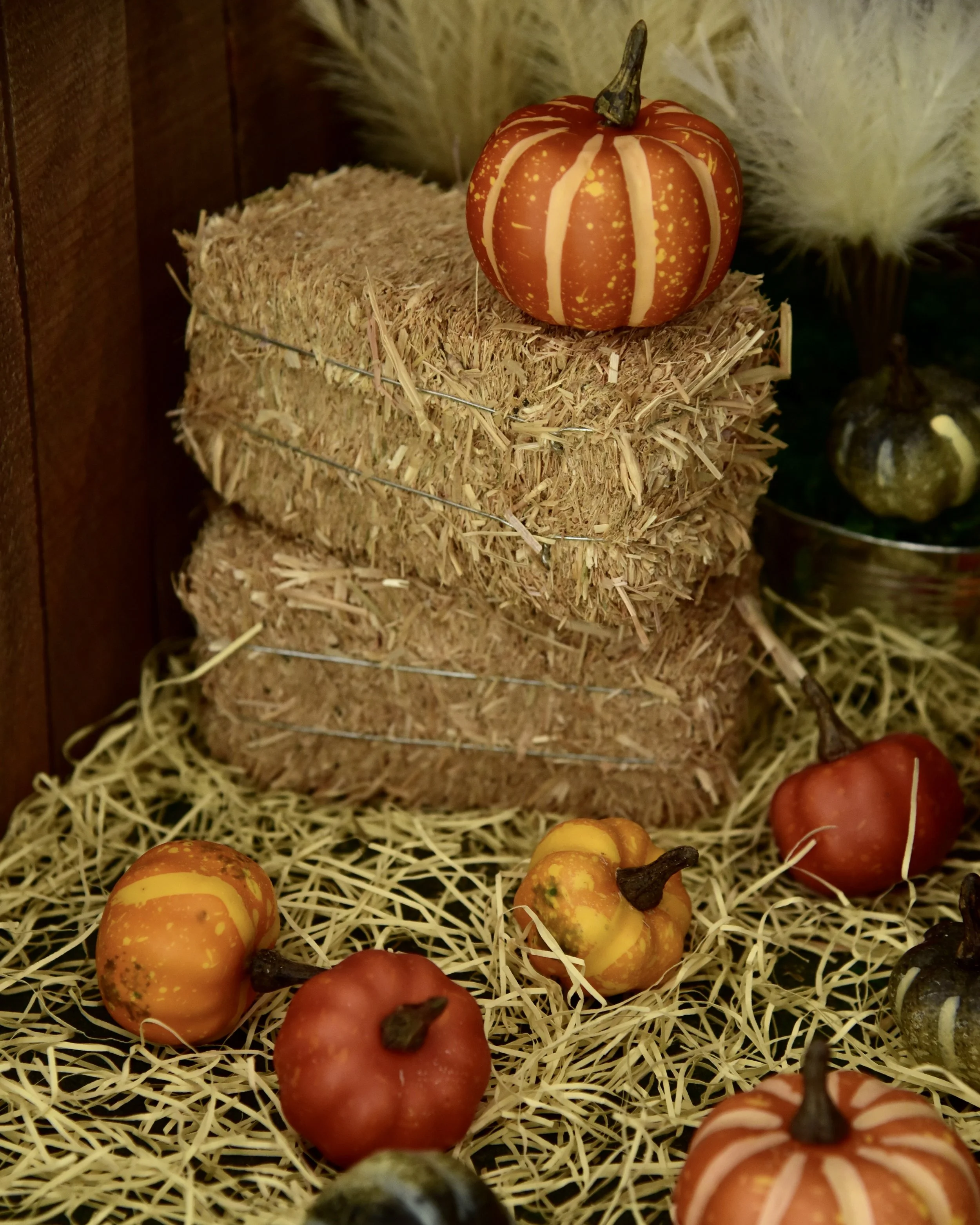 DSC_8423.JPG