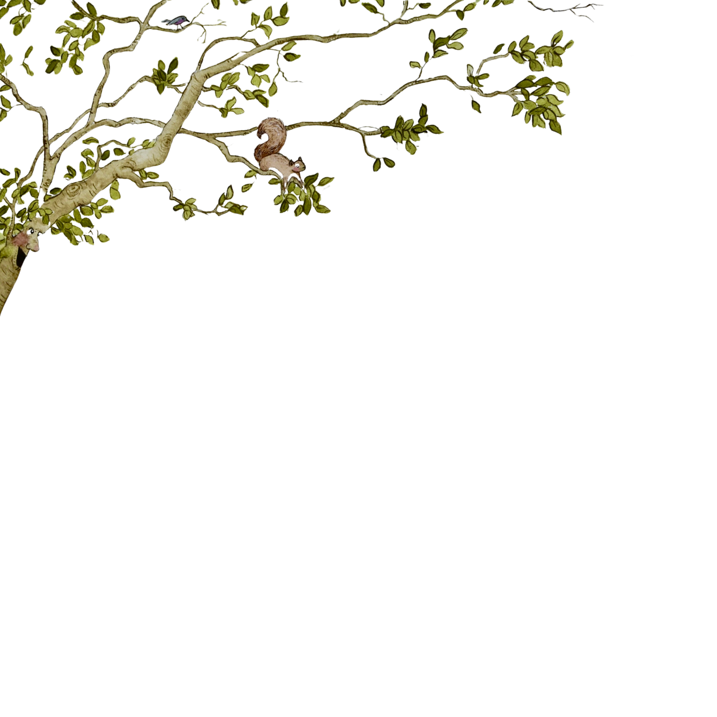 A tree with green leaves and a squirrel sitting on a branch.