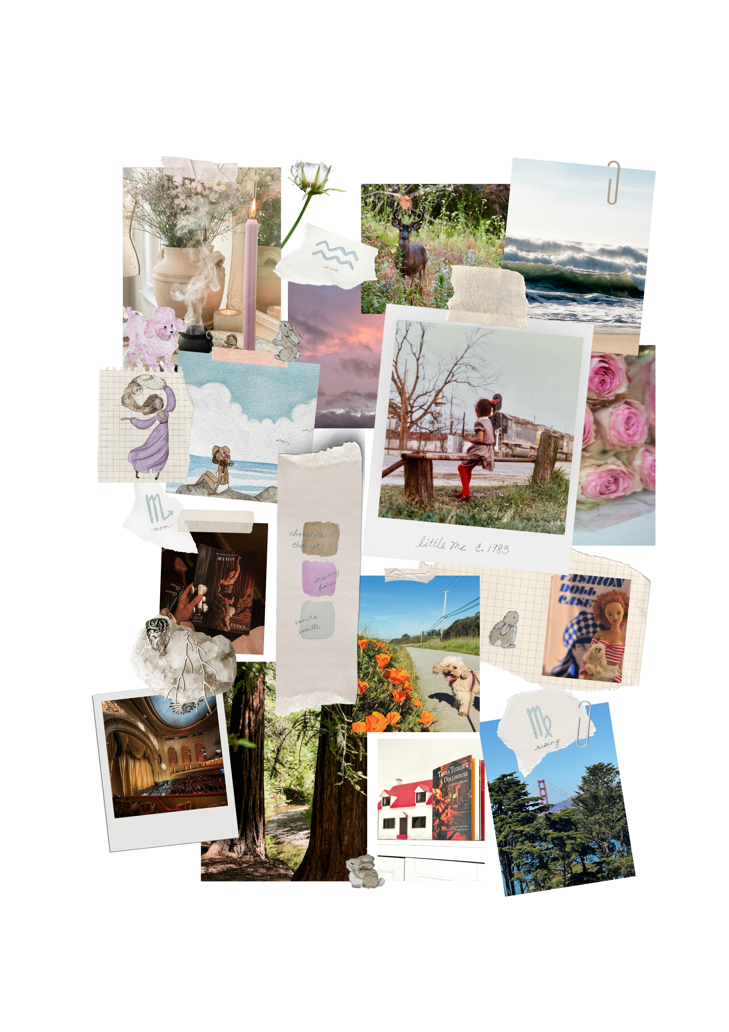 Collage of various photos, drawings, and notes including flowers, a girl sitting on a fence, trees, nature scenes, a dog, a woman in a theater, and handwritten notes.