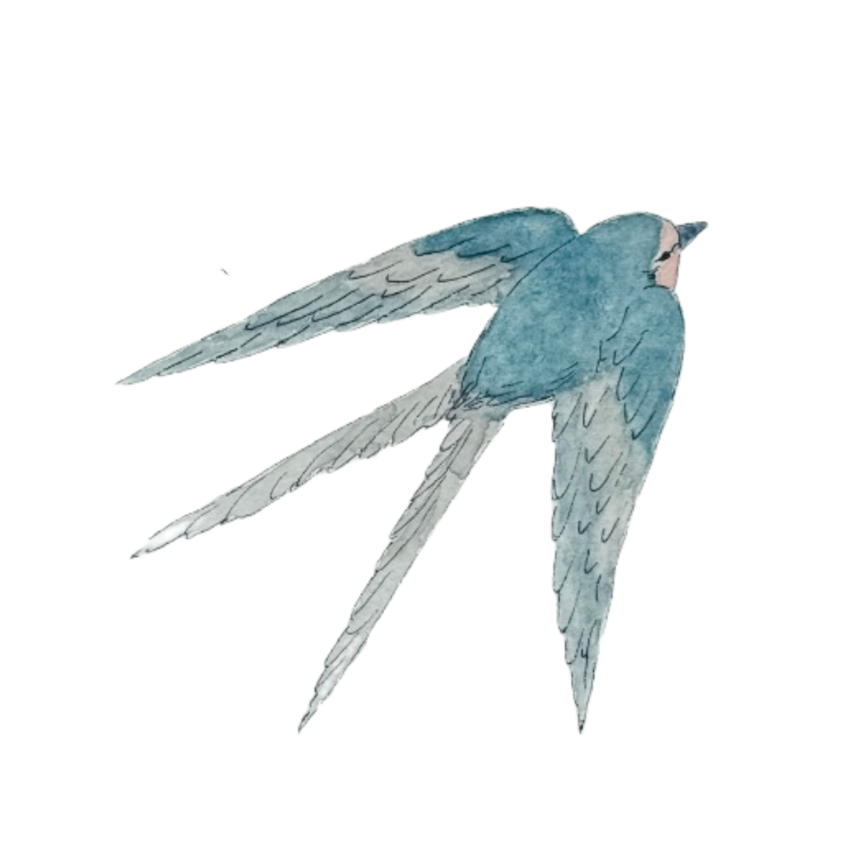 Watercolor illustration of a blue bird flying with wings spread wide.
