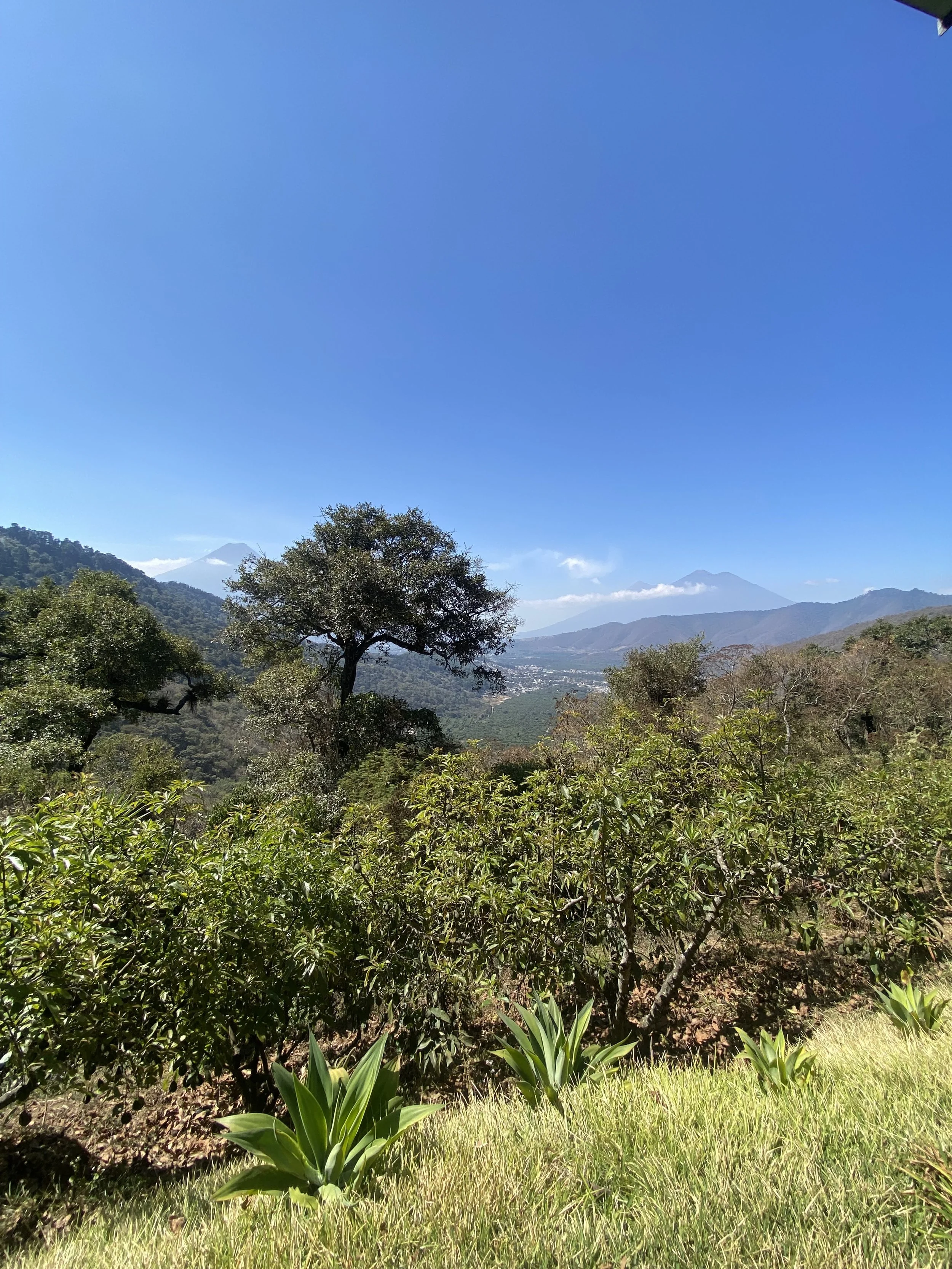 IMG_4698.jpeg