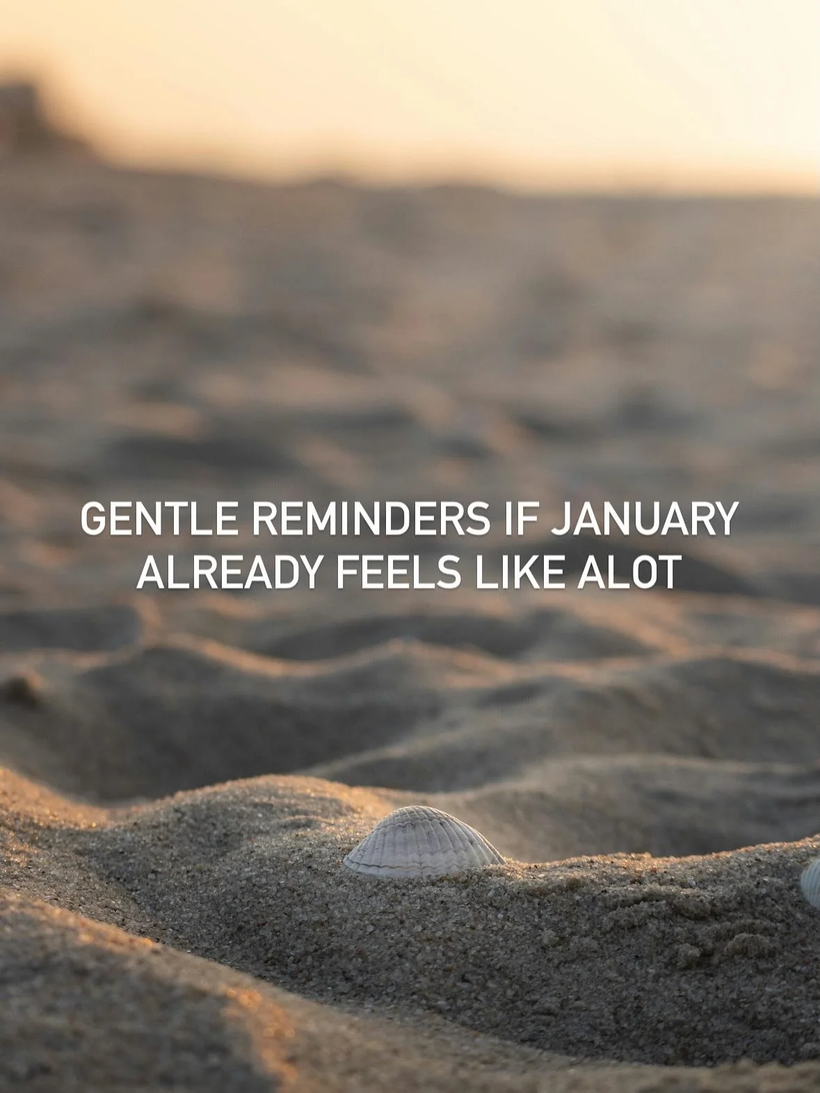 January often brings full calendars, earlier mornings, and pressure to &ldquo;get back into it&rdquo; quickly.

If your body is feeling unsettled - digestion, mood, energy, that&rsquo;s a very normal response to increased load.

Support doesn&rsquo;t