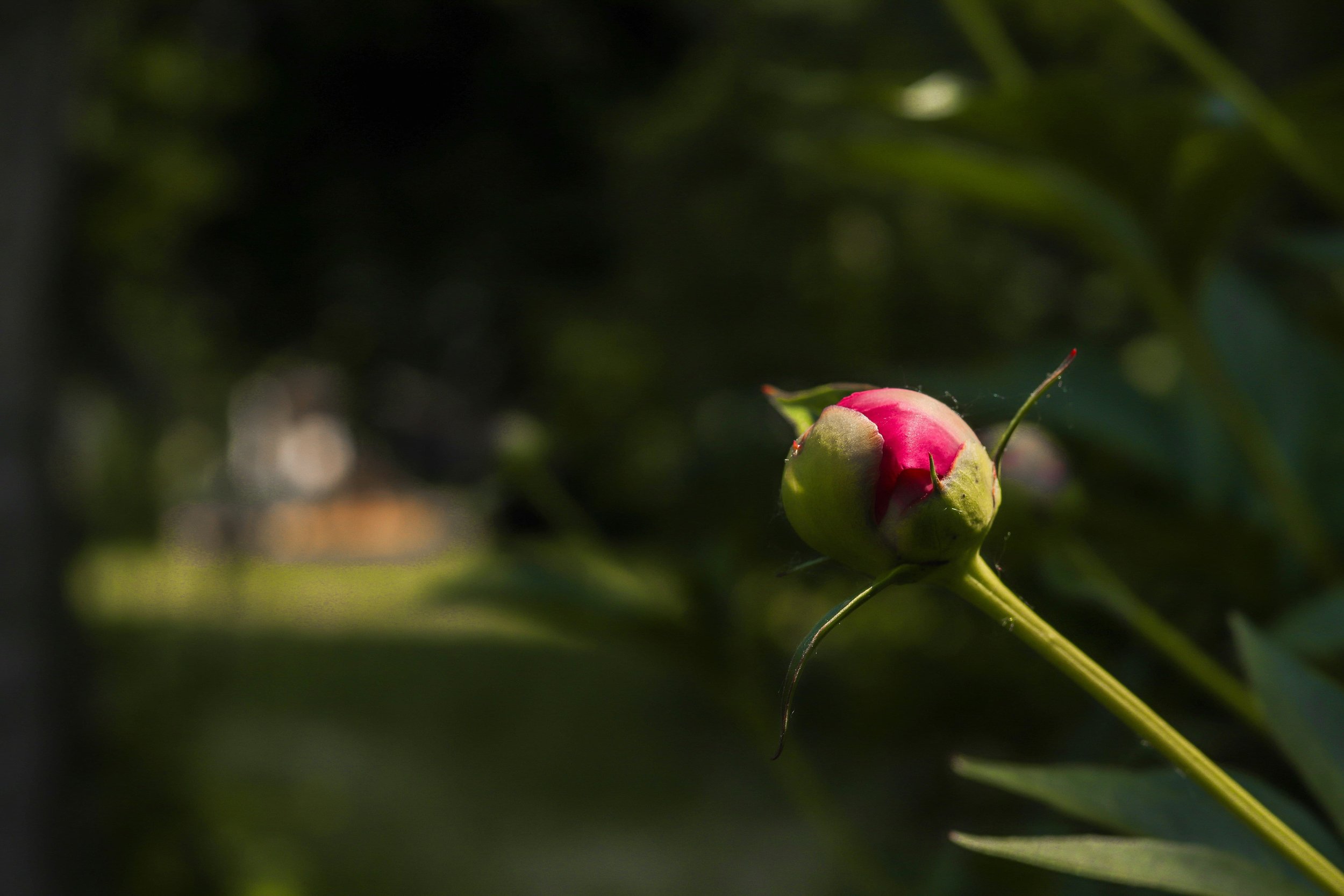 The Quiet Shift: Navigating the Realities of Perimenopause