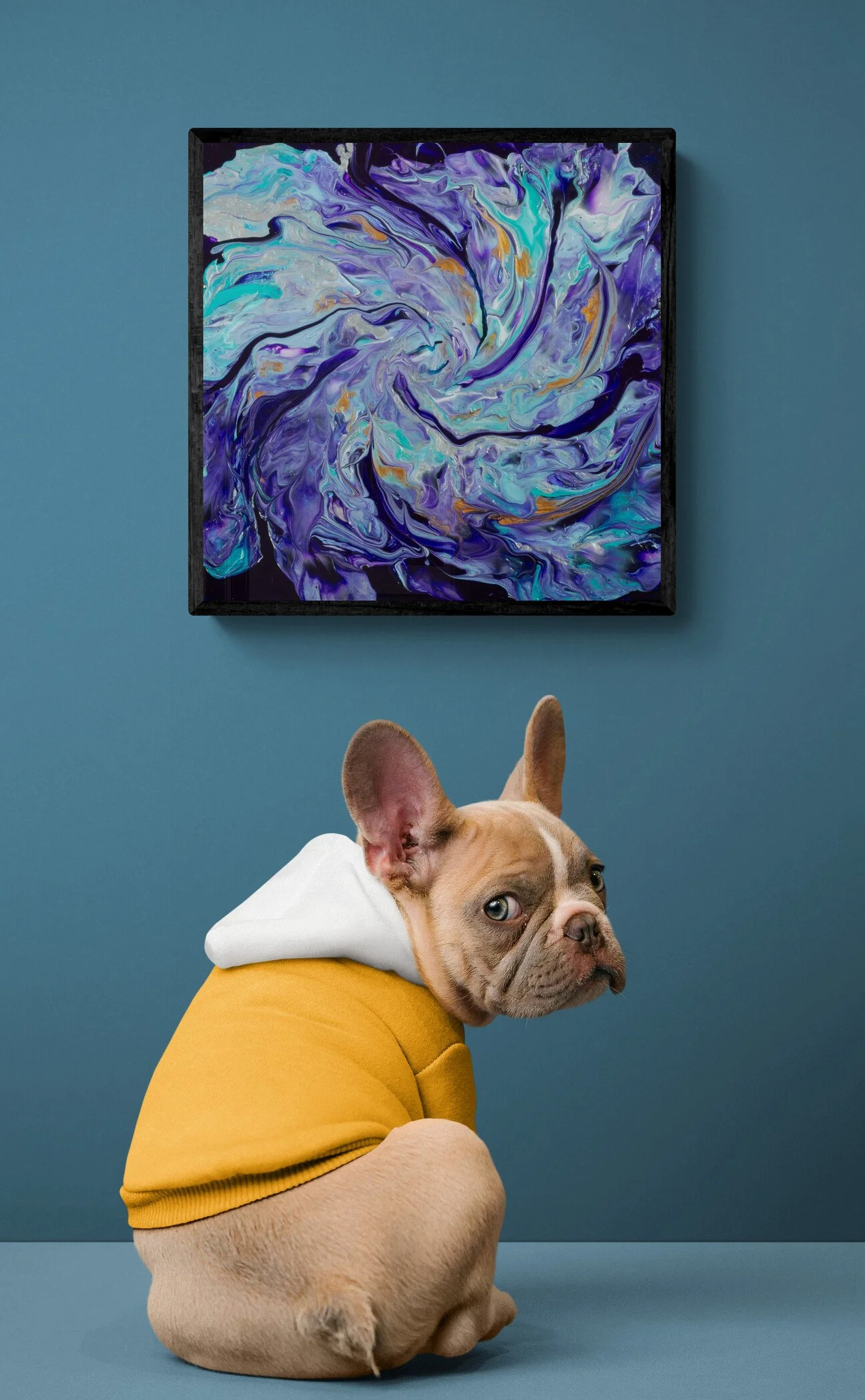 cute-dog-wearing-a-hoodie.jpg