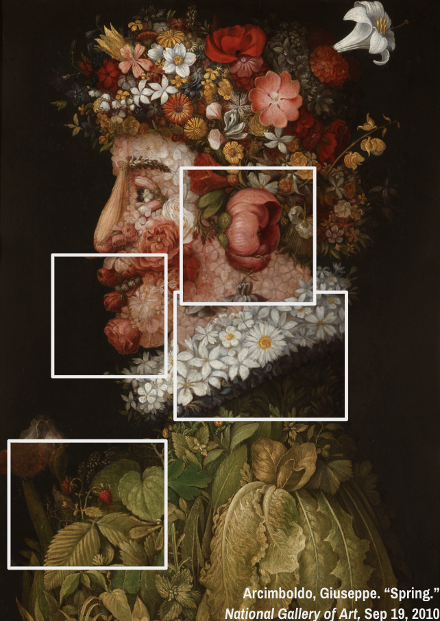 IB DP VA Comparative Study