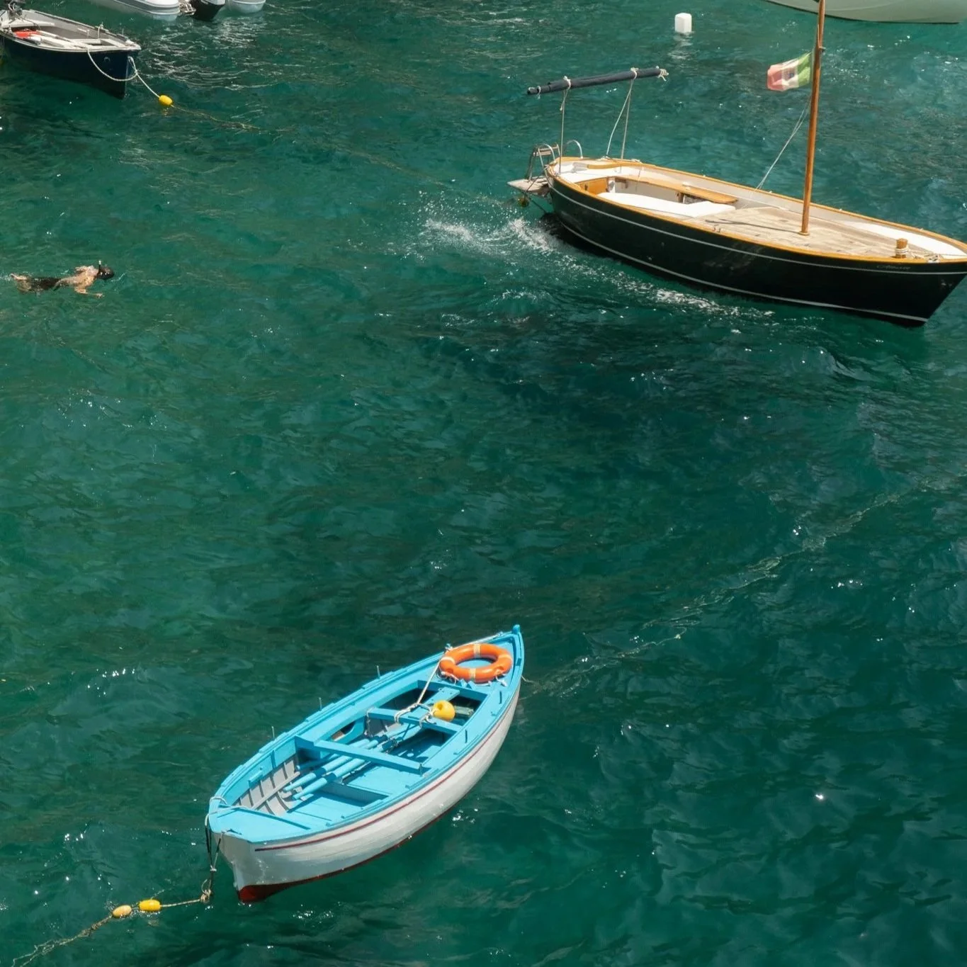 DSCF6478.jpg