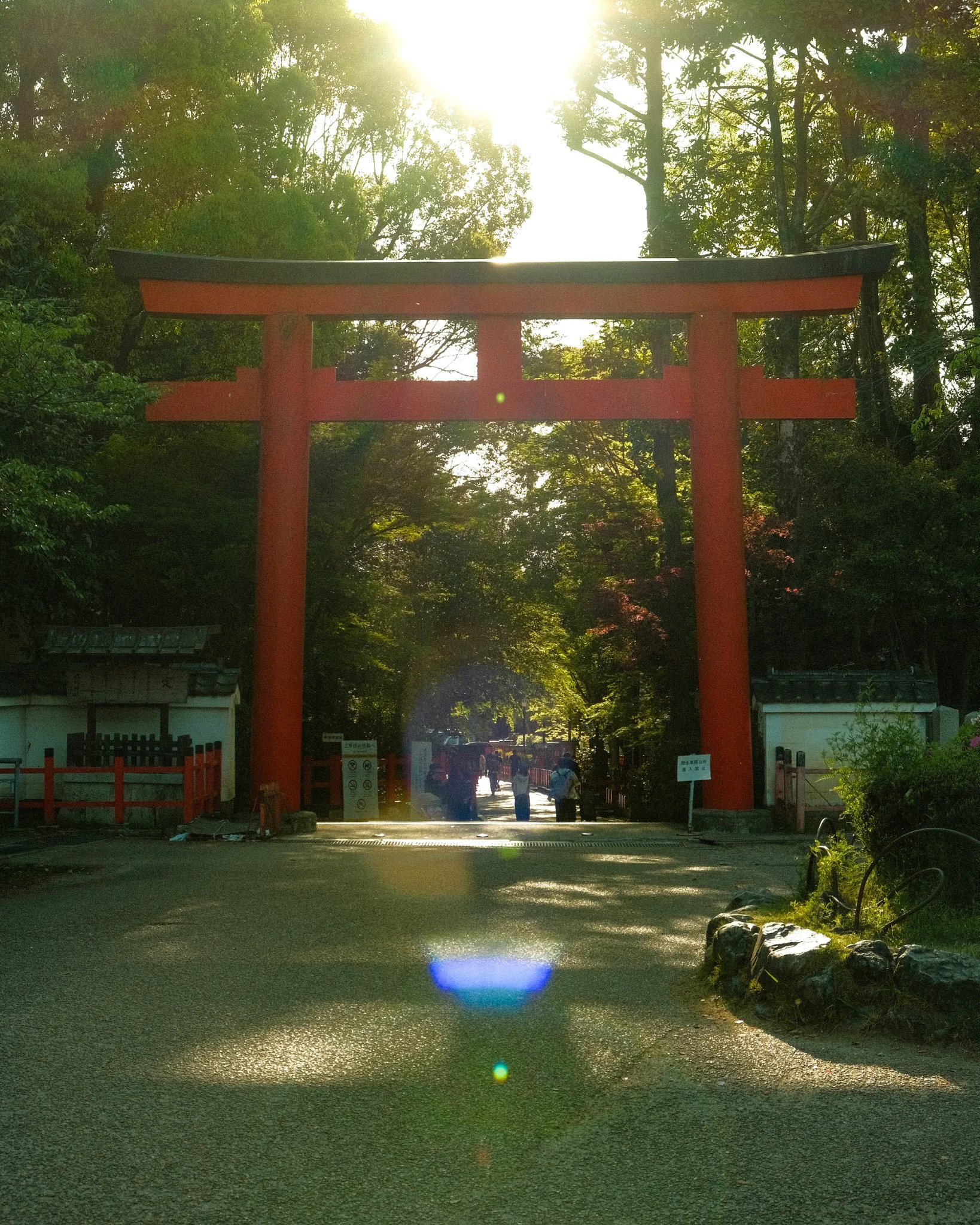 DSCF1028.jpg