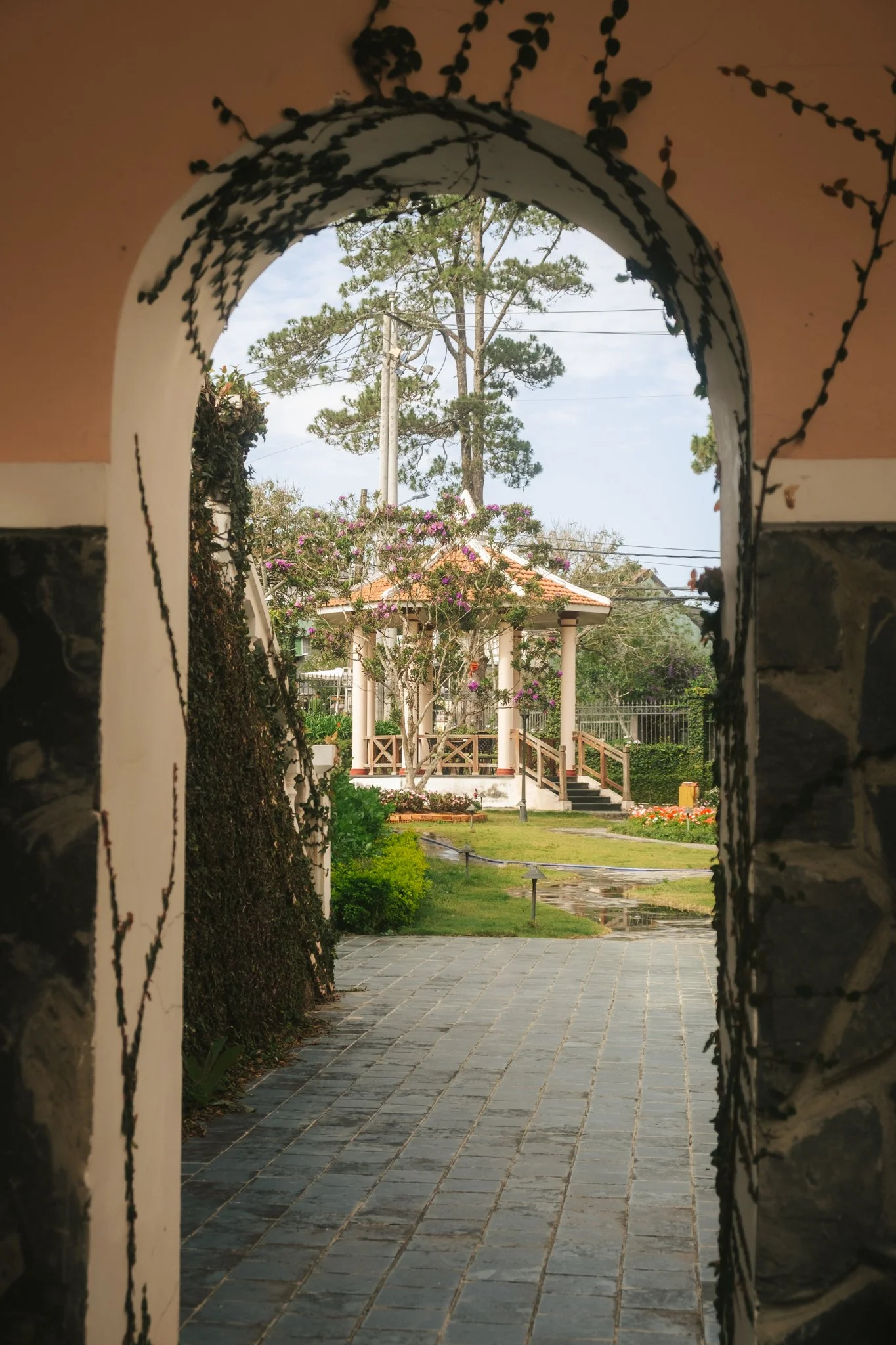 DSCF1104.jpg