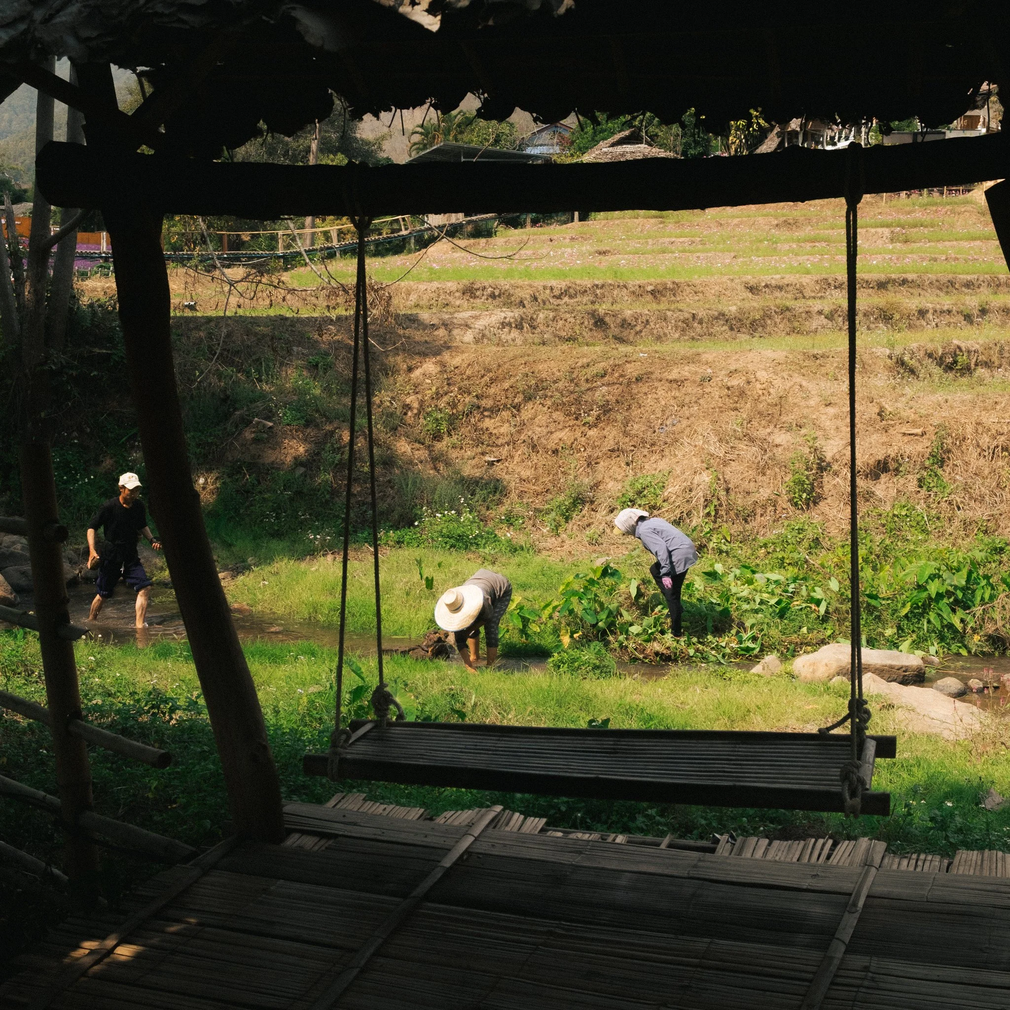 DSCF9687.jpg
