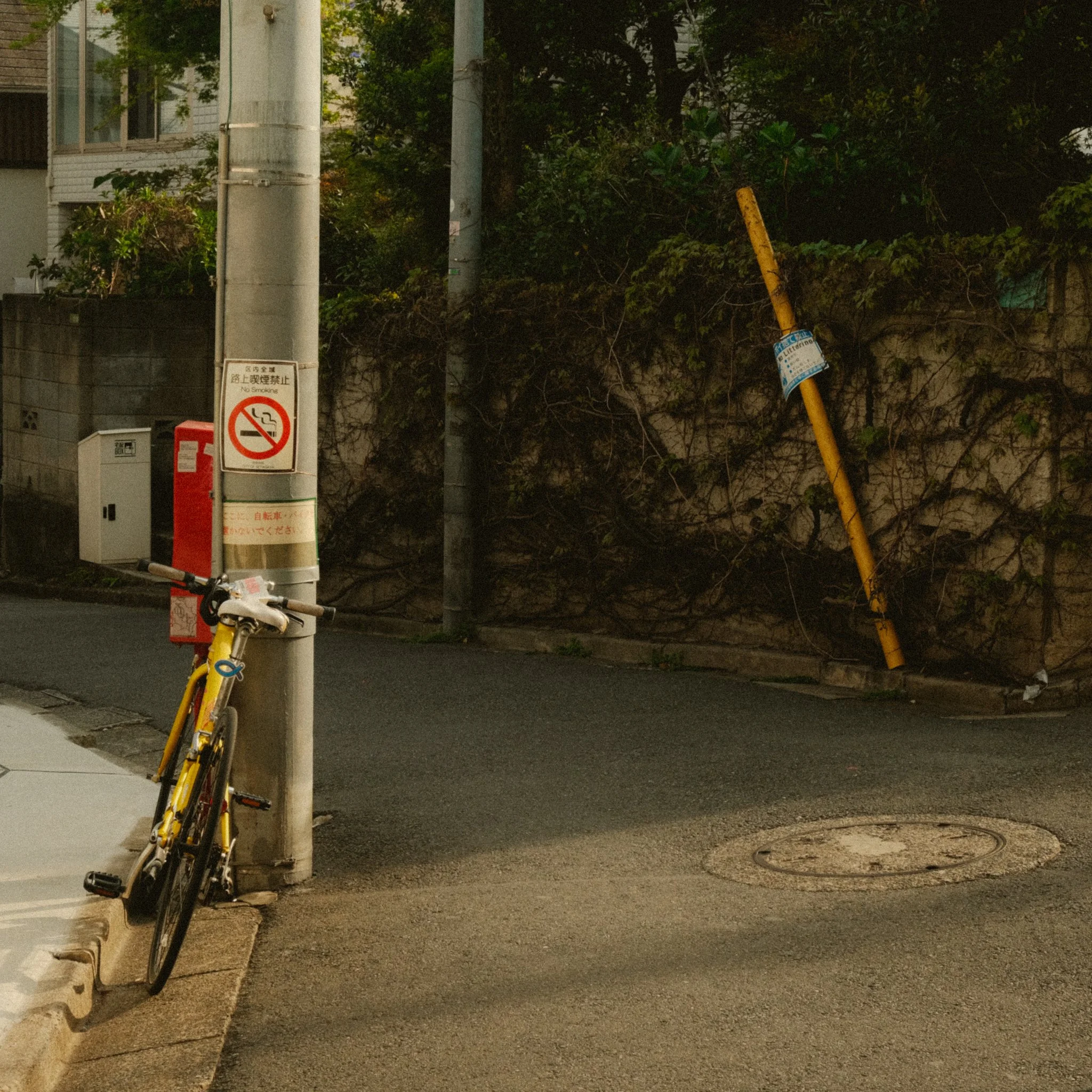 DSCF0577.jpg
