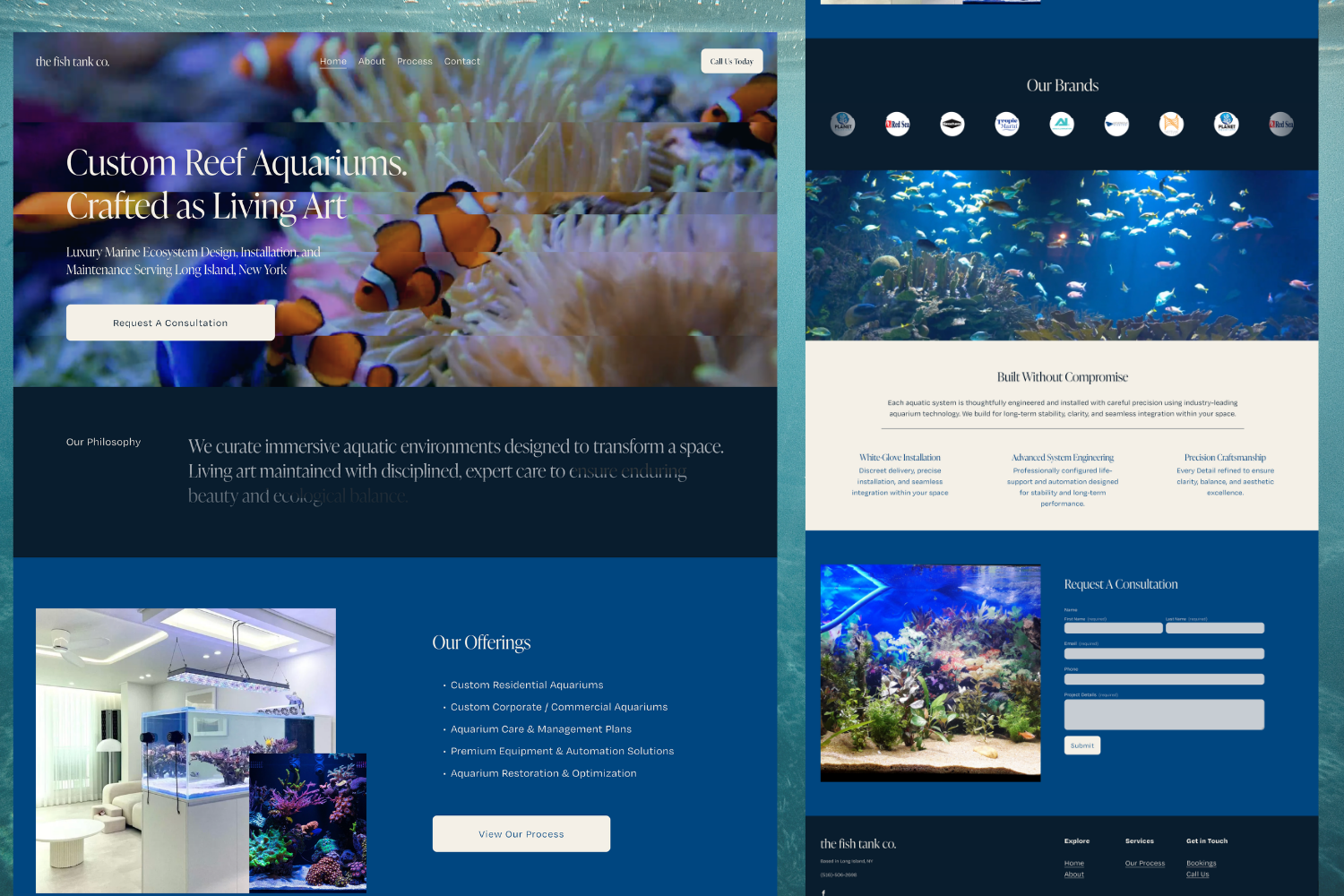 the fish tank co.