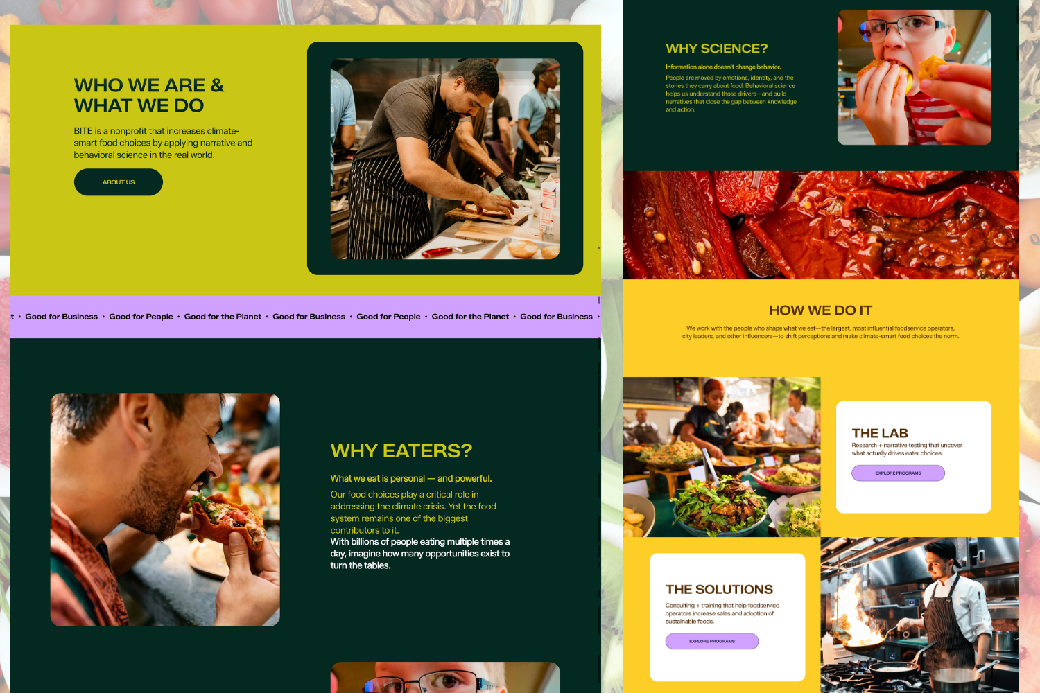 BITE Non-Profit