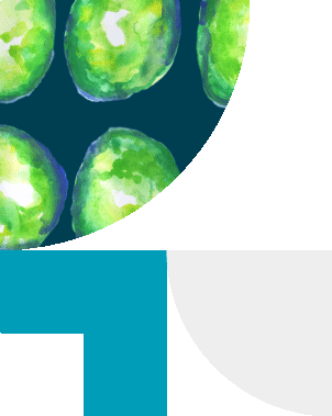 Aged Care support for Adelaide families.