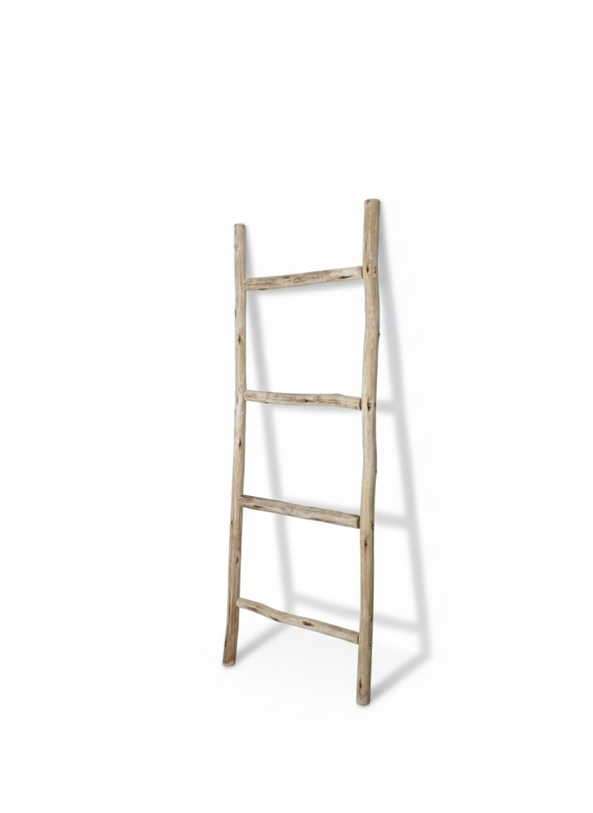 natural ladder 1 .png