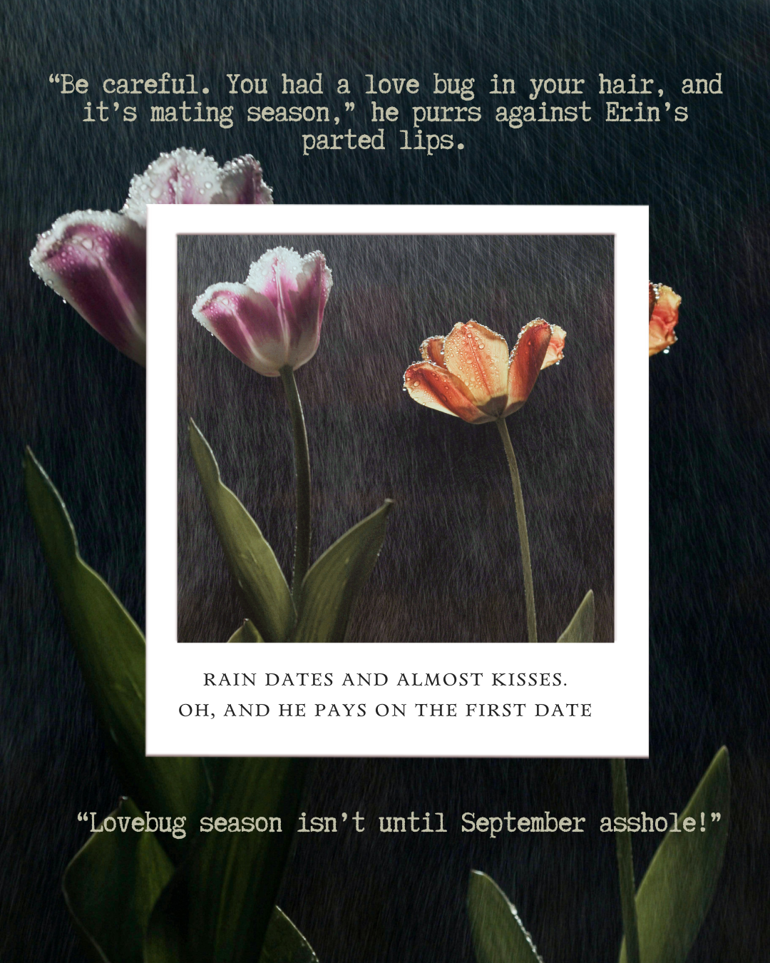 83f -- Microtropes.png