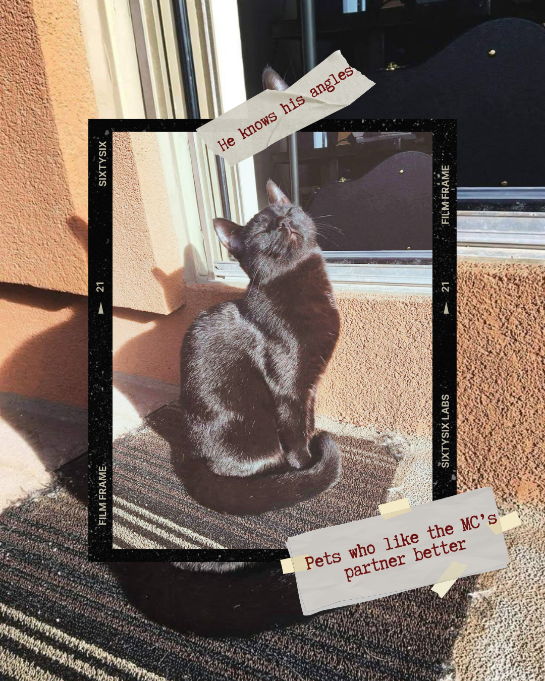 83c -- Microtropes.png