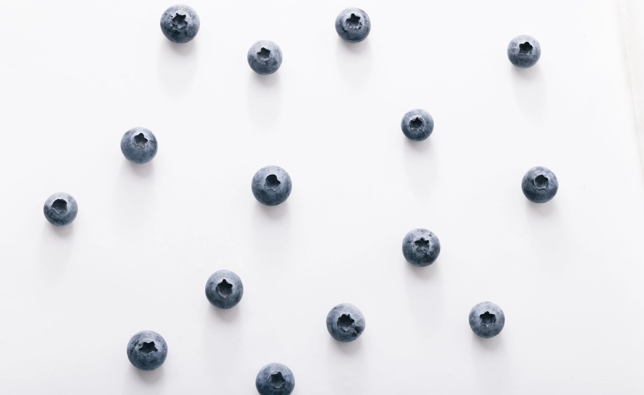 Close-up-8.jpg