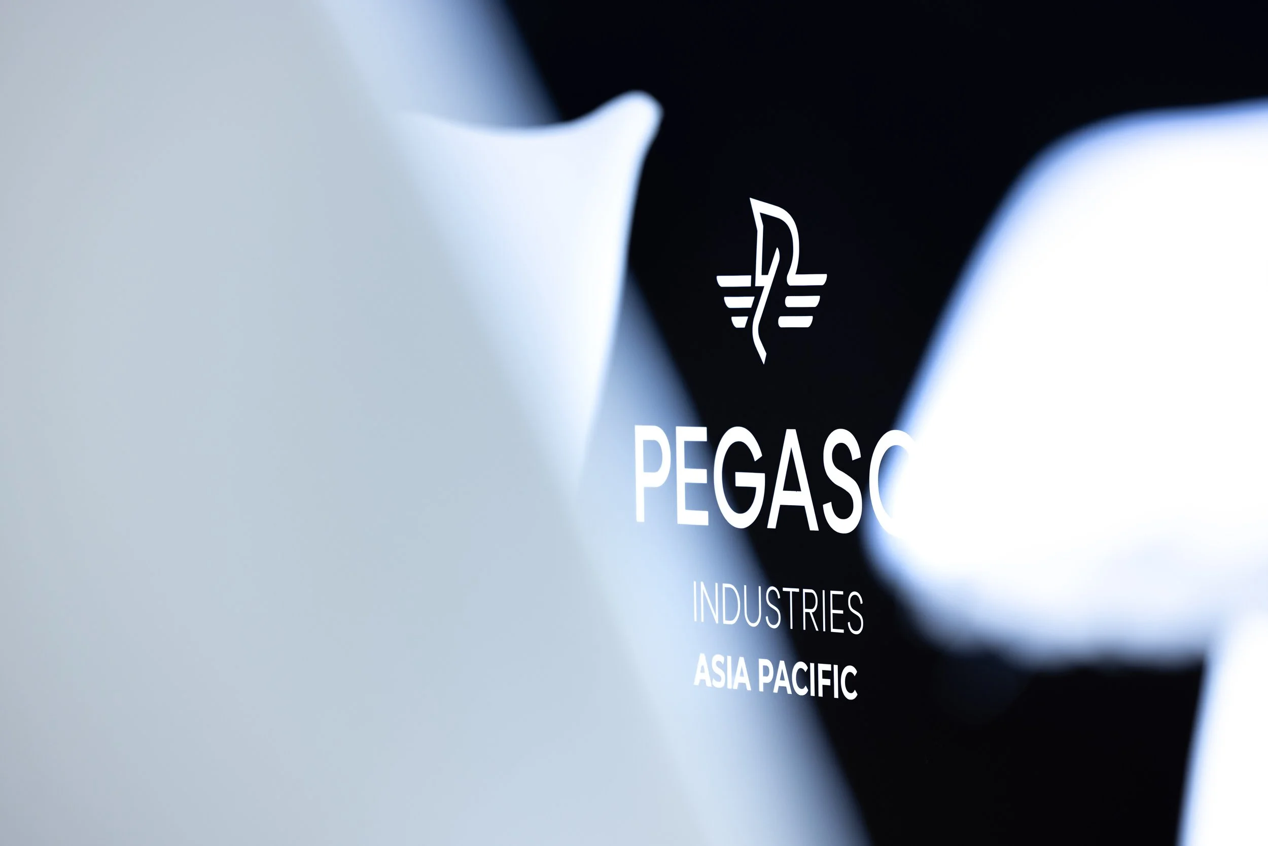 Pegaso Compressed-4.jpg