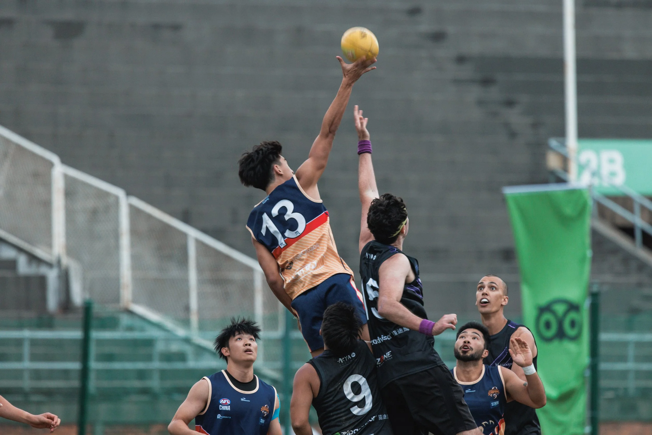 AFL-268.jpg