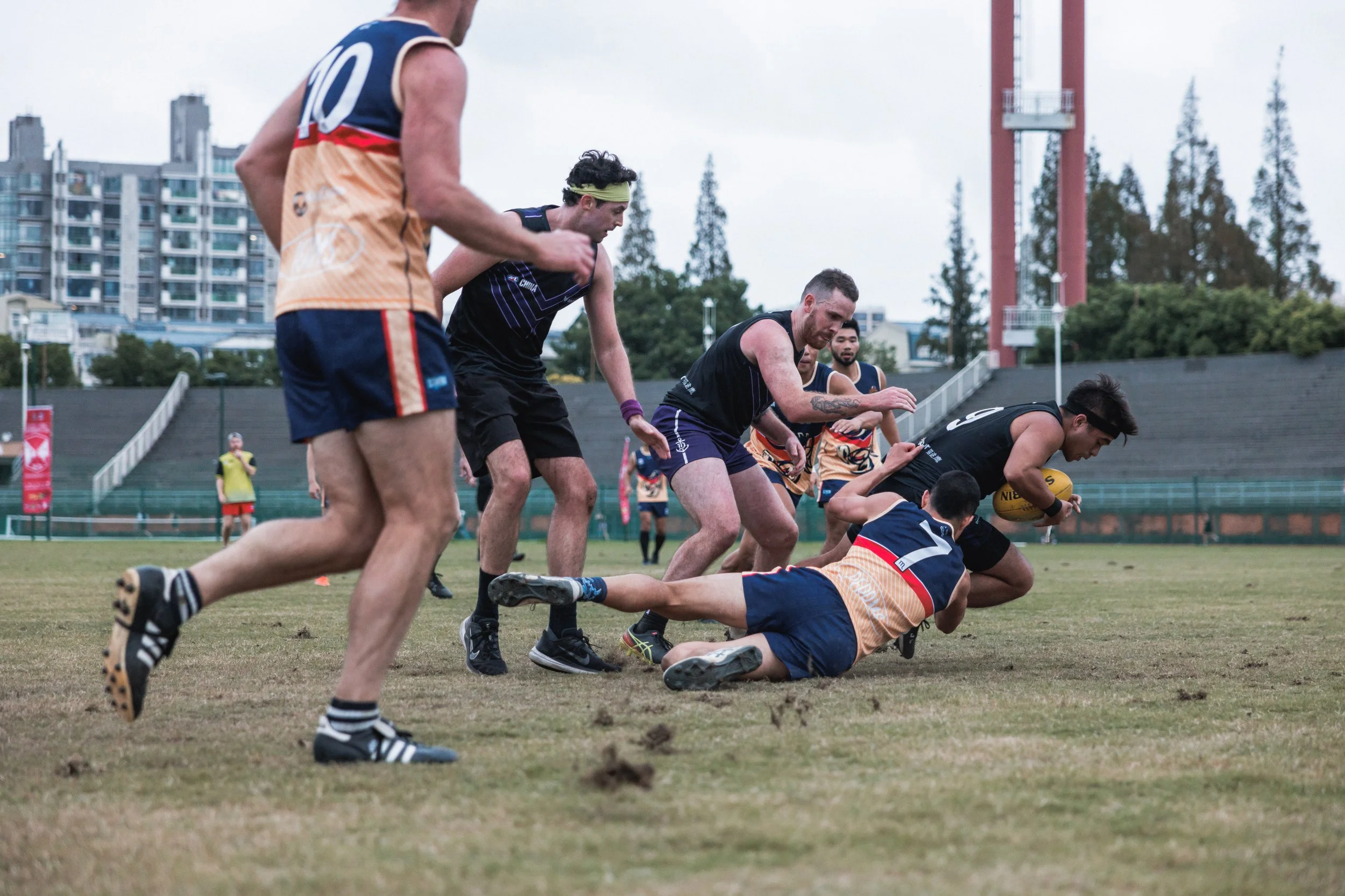 AFL-286.jpg