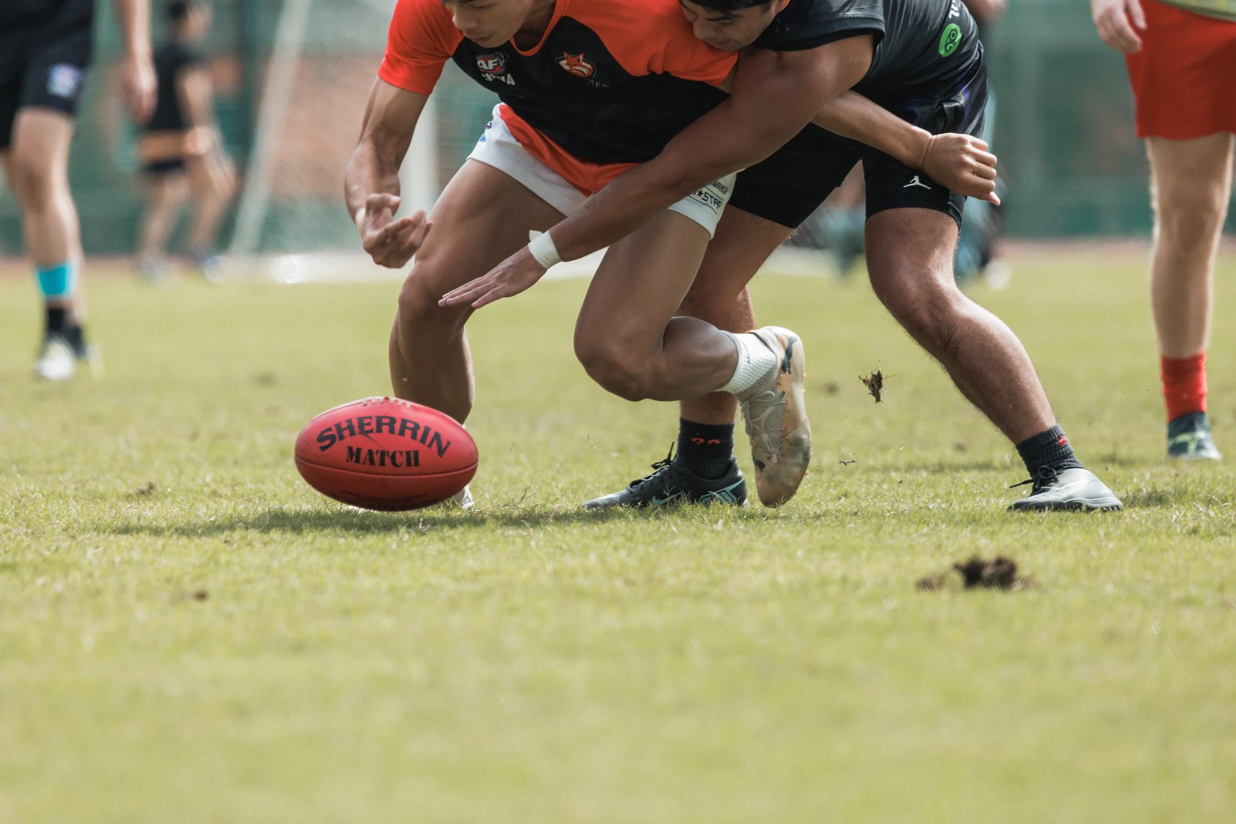 AFL-96.jpg