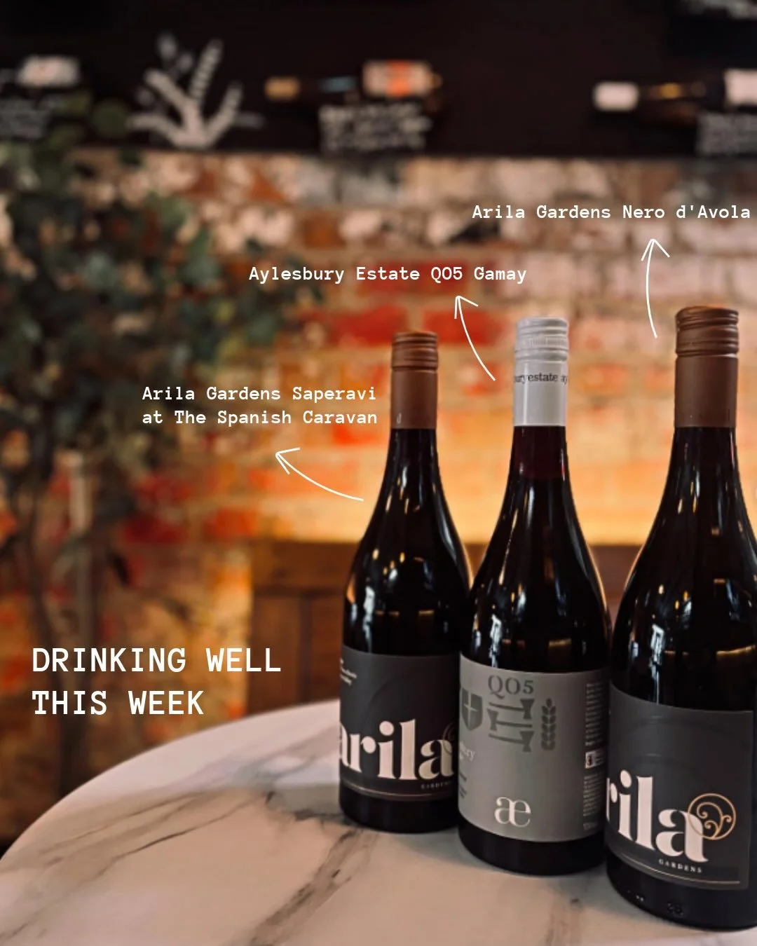 Drinking Well This Week 

1. Aylesbury Estate &amp; Arila Gardens at @spanishcaravanliverpool 
2. Gatto Arancio at @watd.nq 
3. Super8 Cherry at @thelordstrange 
4. Angioletti Cider at @paulsbarl22 
5. Luno Ros&eacute; at @thepickledolive 
6. The Nor