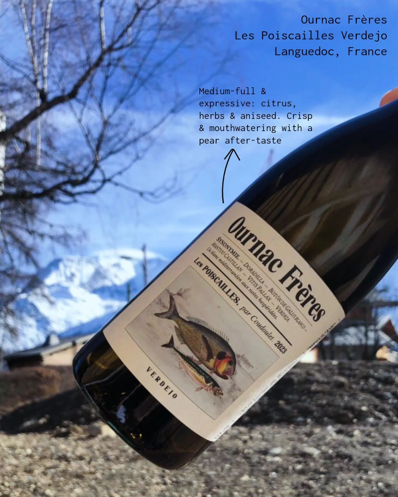 This liquid has lore:

Ournac Fr&egrave;res Verdejo &lsquo;Les Poiscailles&rsquo; from Languedoc, France. The Spanish icon is reimagined in southern France, where Verdejo thrives in warmer climates as part of a quiet shift towards climate resilience.