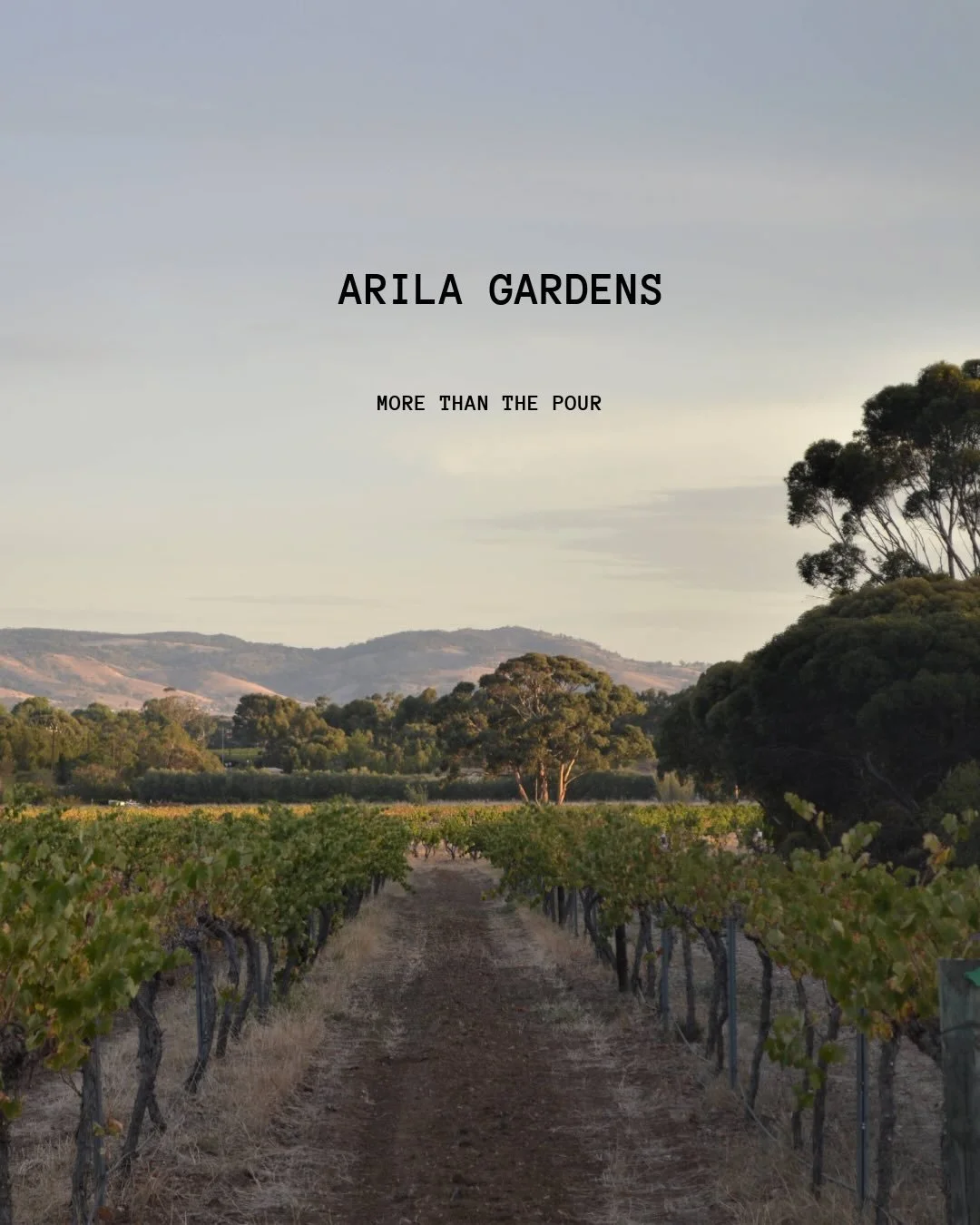 With us, it&rsquo;s granted that the liquid has to be top tier. But here&rsquo;s where we share more about why our brands are a cut above the rest. 

More than the pour - Arila Gardens is a true family project, rooted in Moppa, one of Barossa&rsquo;s