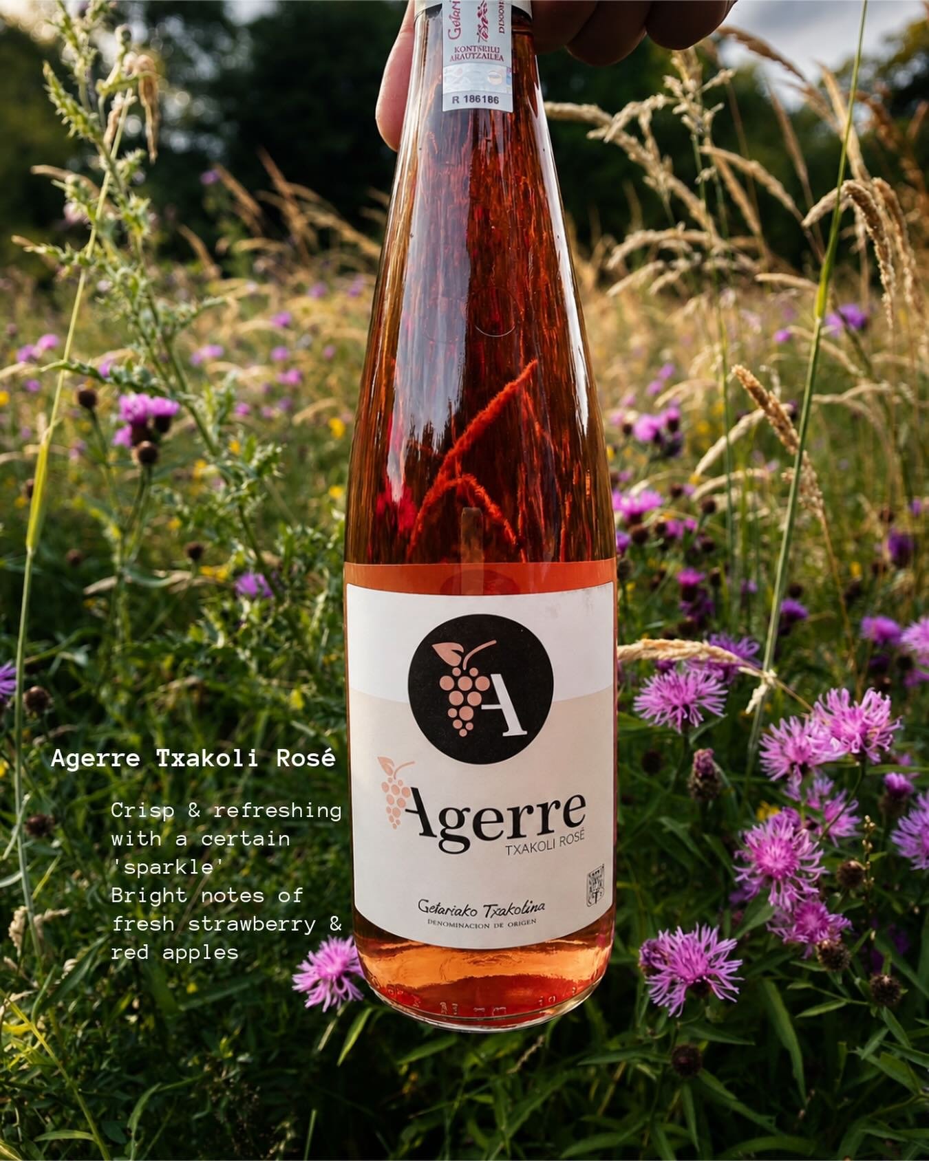 This liquid has lore. Meet Agerre Txakoli Ros&egrave; (say it: cha-ko-lee) - pure Basque coastline brilliance in a glass. 

Made in Getaria in Spain&rsquo;s Basque Country, this slightly sparkling ros&egrave; is bone-dry, crisp &amp; low in alcohol -