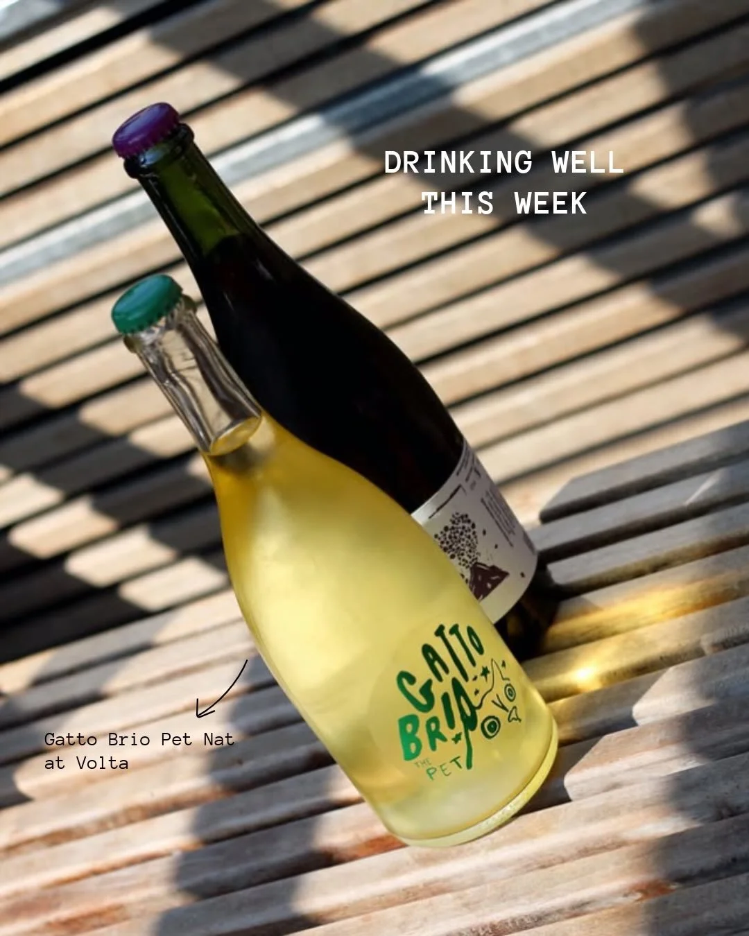 DRINKING WELL THIS WEEK

1. Gatto Brip Pet Nat at @voltamanchester 
2. Super 8 Cherry at @guest_stalybridge 
3. Precious Day Cr&eacute;mant de Bordeaux at @georgonzoladeli 
4. Tongerlo at @bierhuisgrandcafe_stives 
5. Alhambra at @murphysgin 
6. Supe