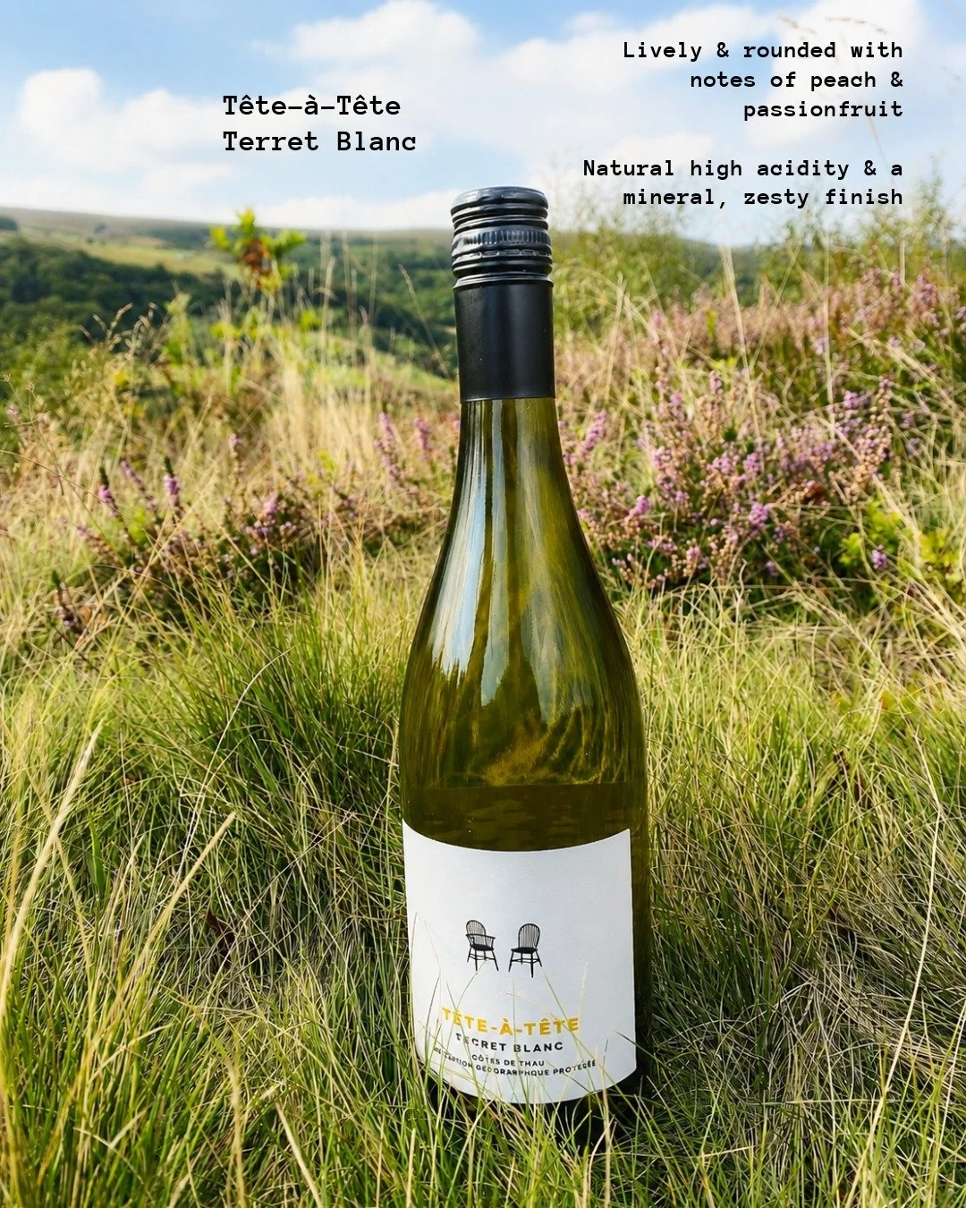 France's best-kept secret? Pull up a chair! This liquid has lore...

Meet our T&ecirc;te-&agrave;-T&ecirc;te Terret Blanc - a wine made from one of the oldest grape varieties in the Languedoc, a region where Mediterranean sunshine meets centuries of 