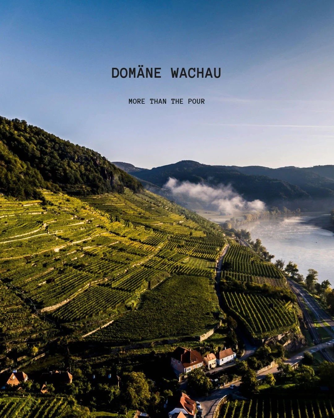 It's always a given with us that the liquid is going to deliver. But here's why Dom&auml;ne Wachau is more than just the pour...

In Austria's stunning Wachau Valley, set along the Danube in a UNESCO World Heritage landscape, lies Dom&auml;ne Wachau.
