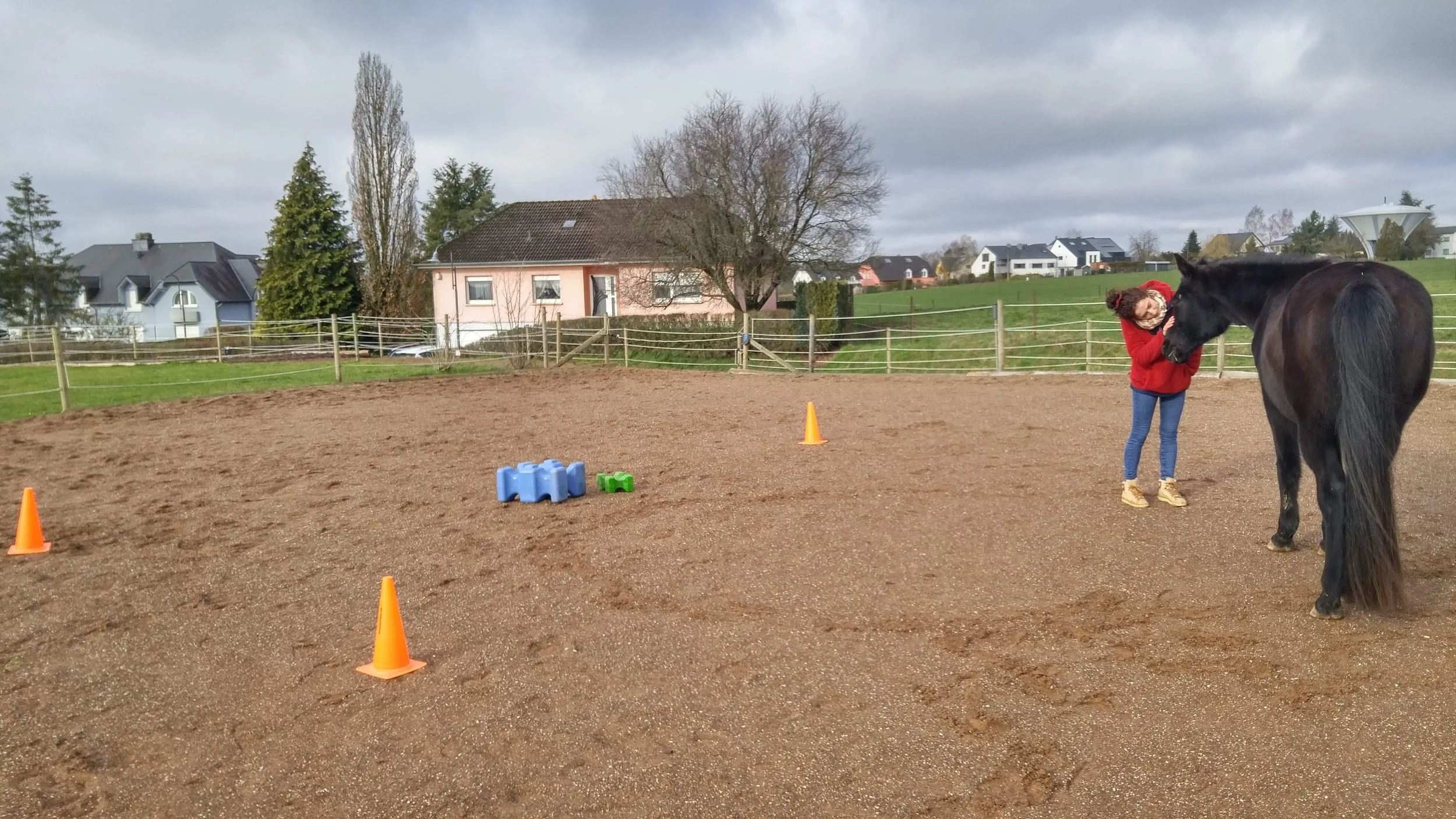 Frau in rotem Wintermantel berührt frei herumlaufendes schwarzes Pferd in Reitplatz im Freien