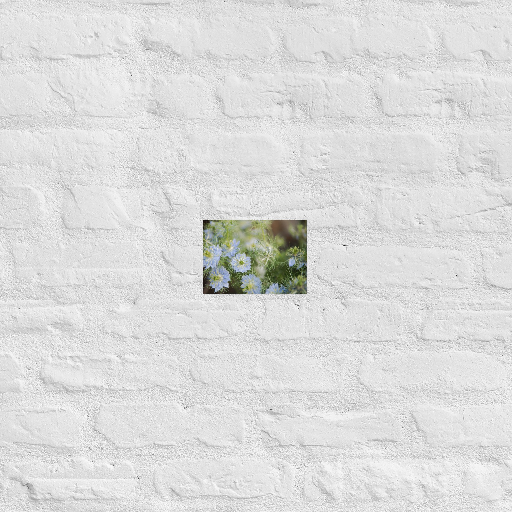 enhanced-matte-paper-poster-(in)-5x7-front-6579da3209b1d.jpg
