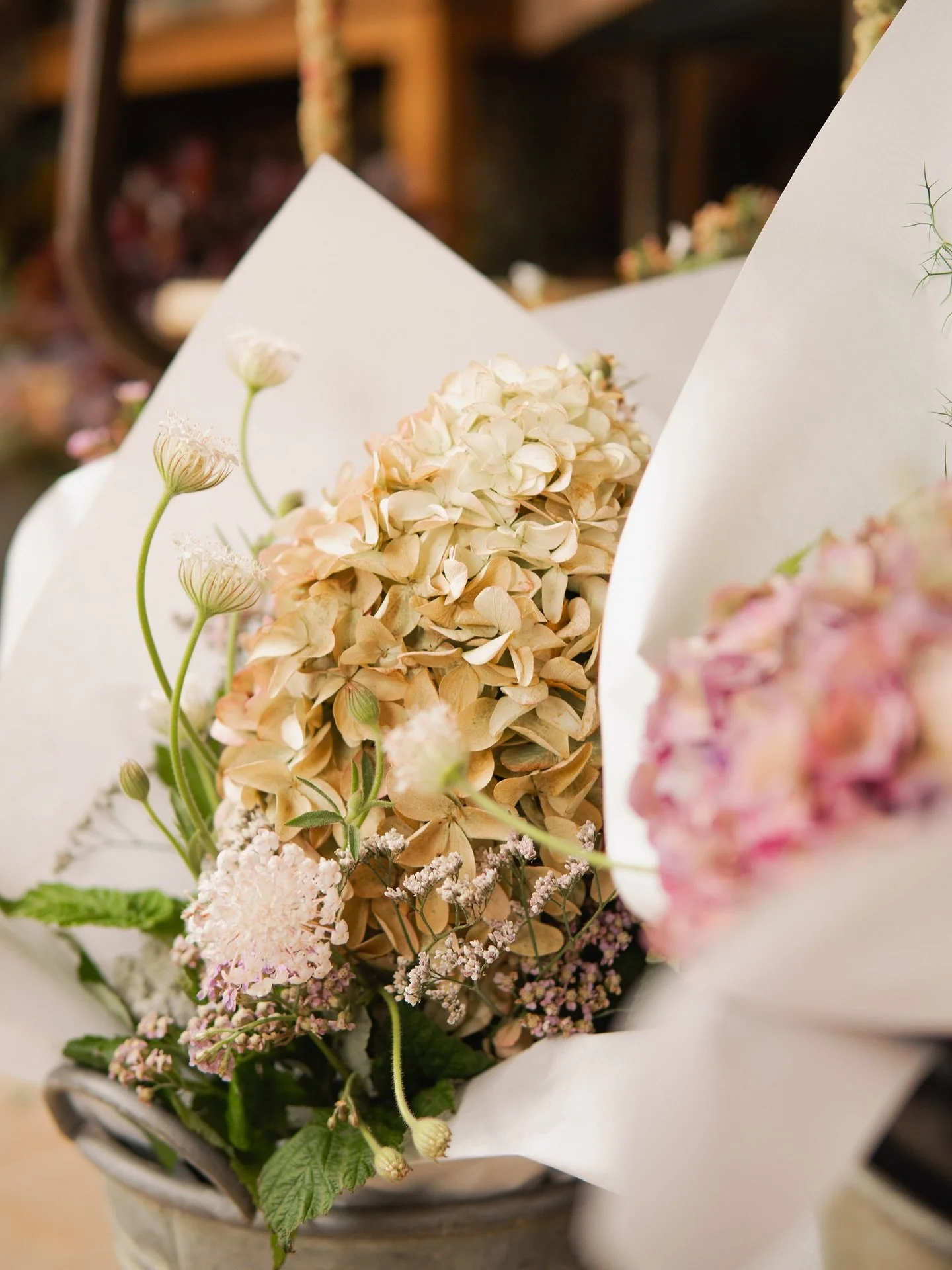 Textures of L&rsquo;Arrosoir ✨