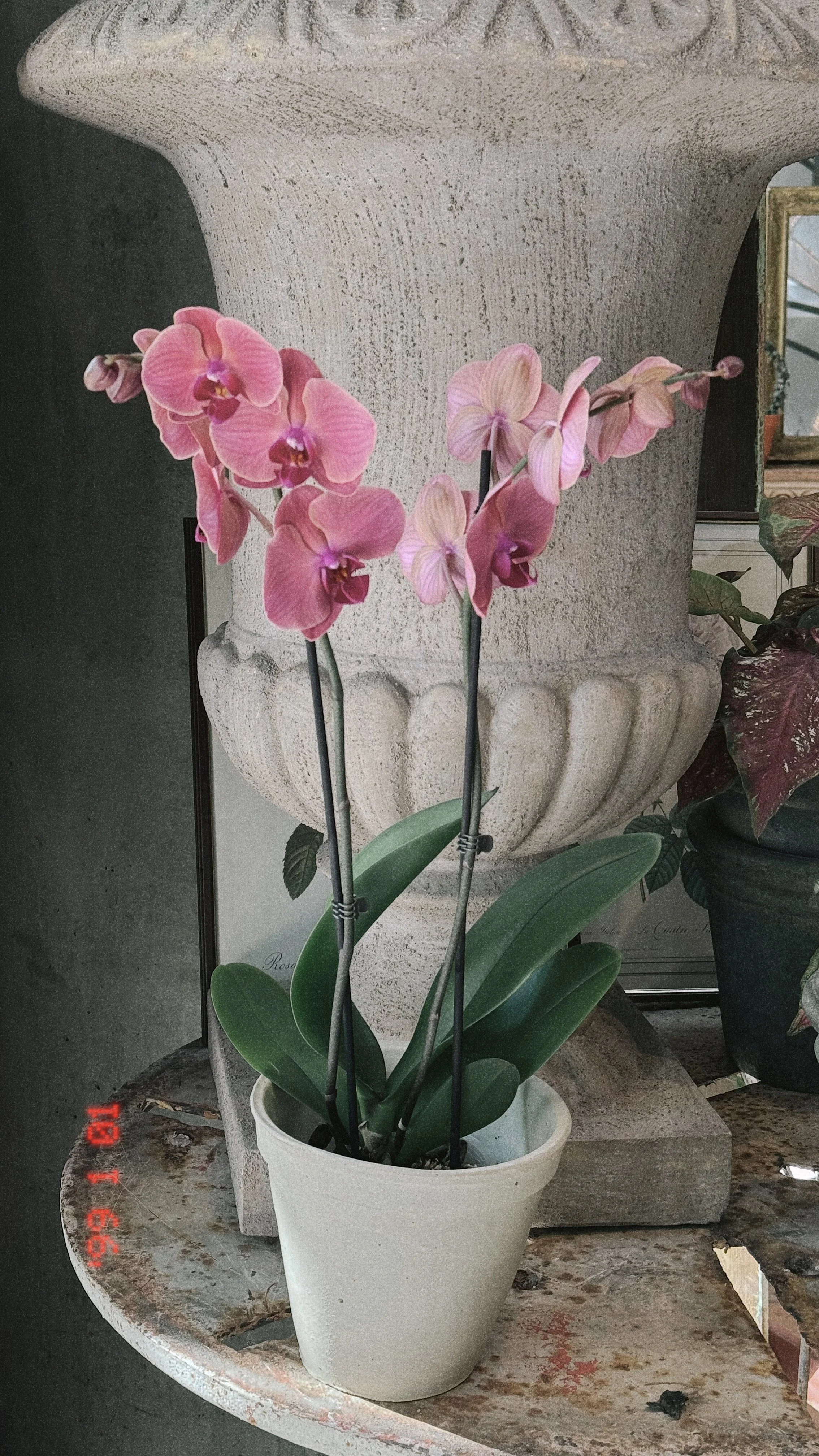 24219AB5-A7C2-4FC6-84EA-8F0DB9F047D6-labbet-app.JPG