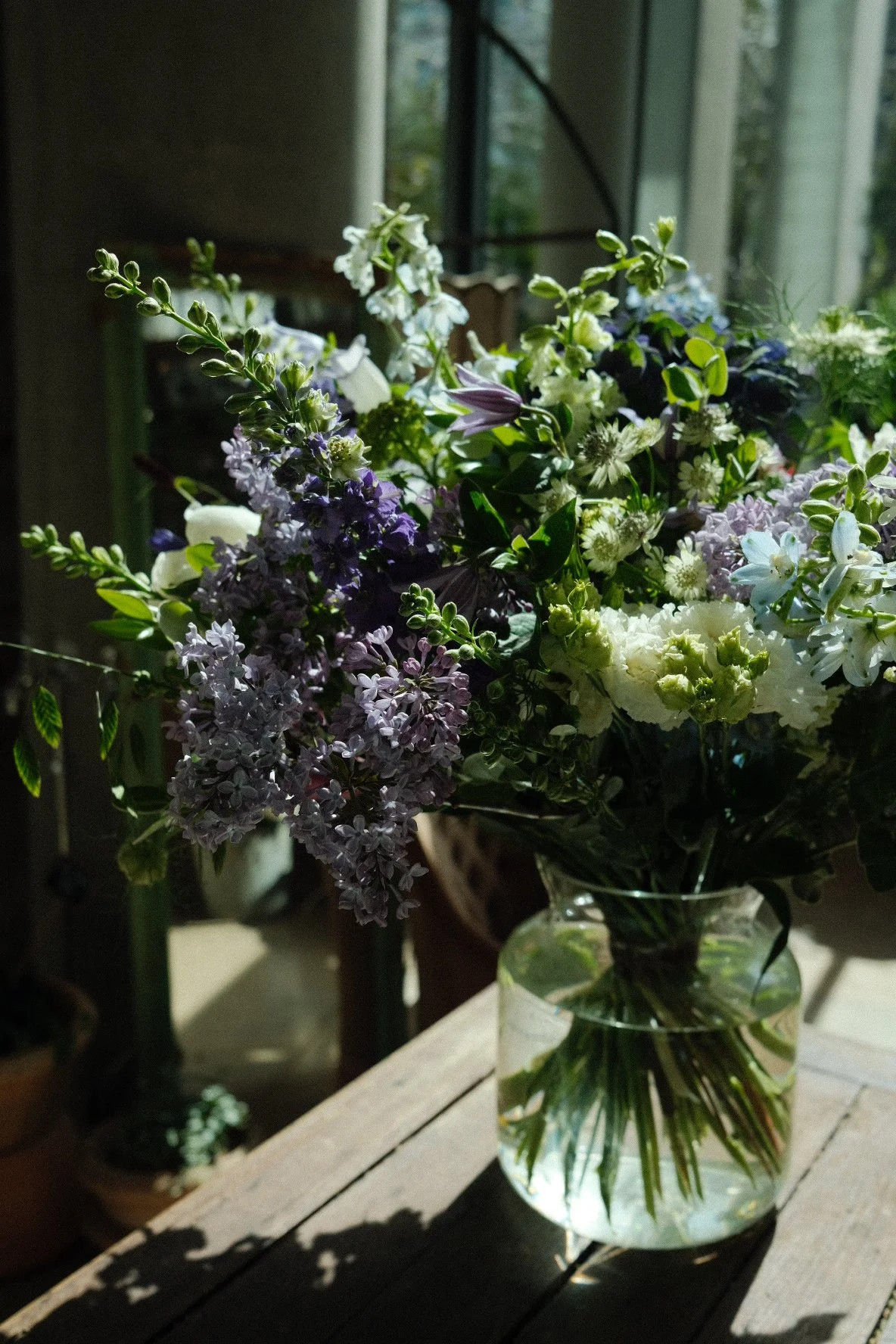 DSCF3130.JPG