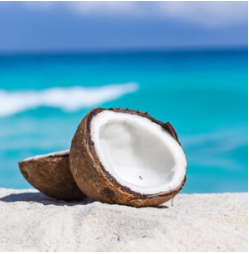 Coconut.png
