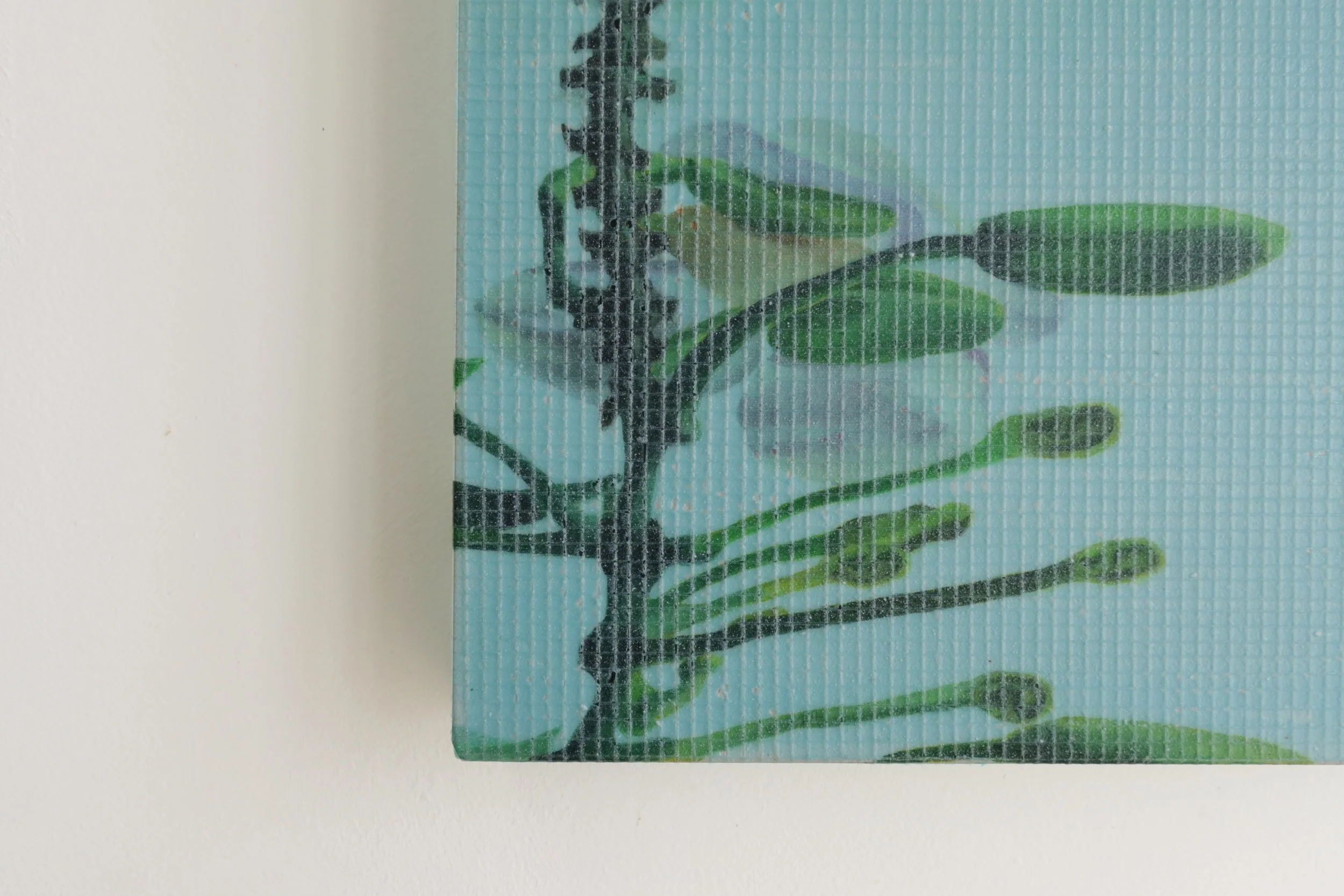 TUMBUH SEIRING TAMPAK BAIK_3.jpg