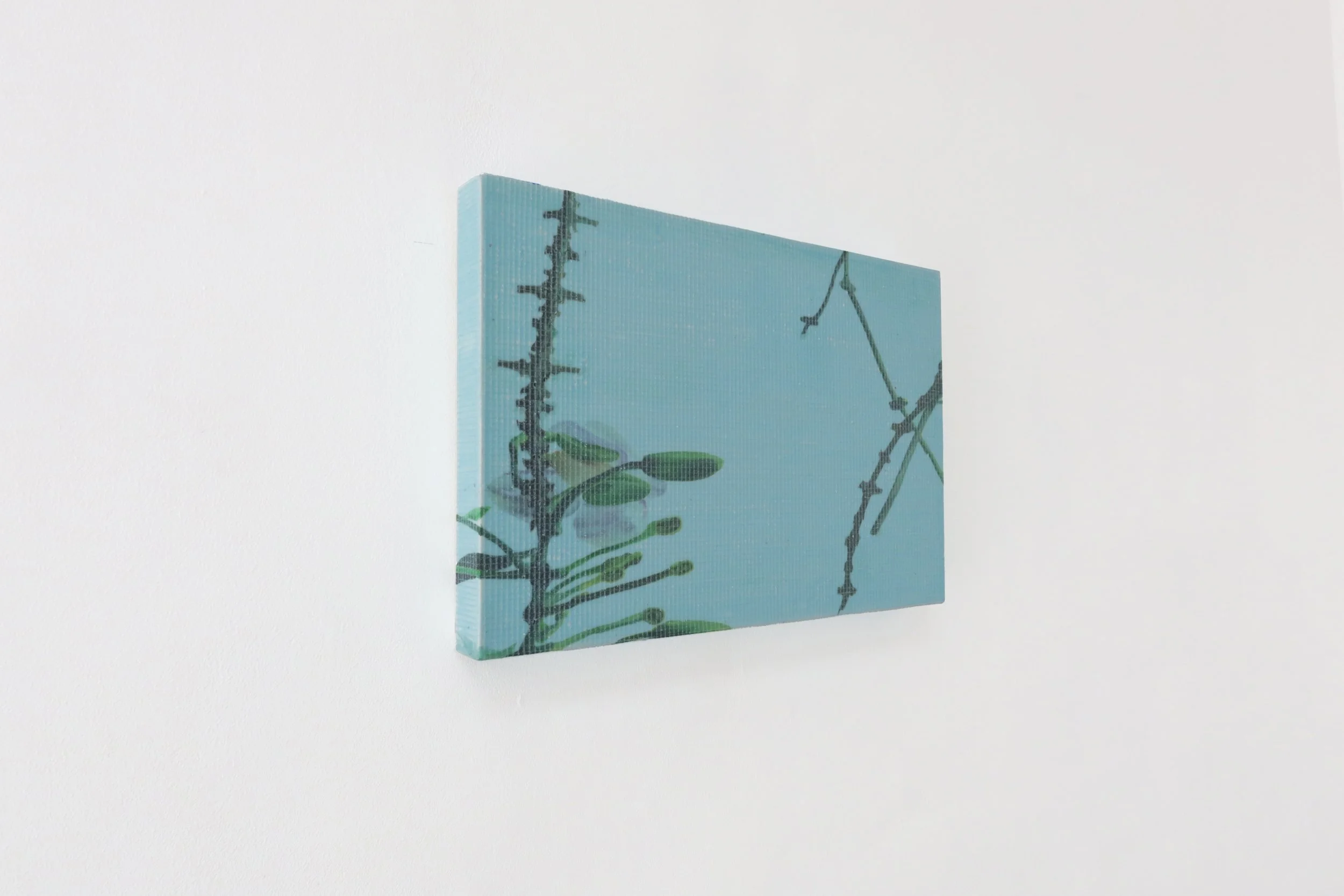 Tumbuh Seiring Tampak Baik by Abyu Amanda Aldi, contemporary artwork at SUN.CONTEMPORARY in Pererenan, Bali