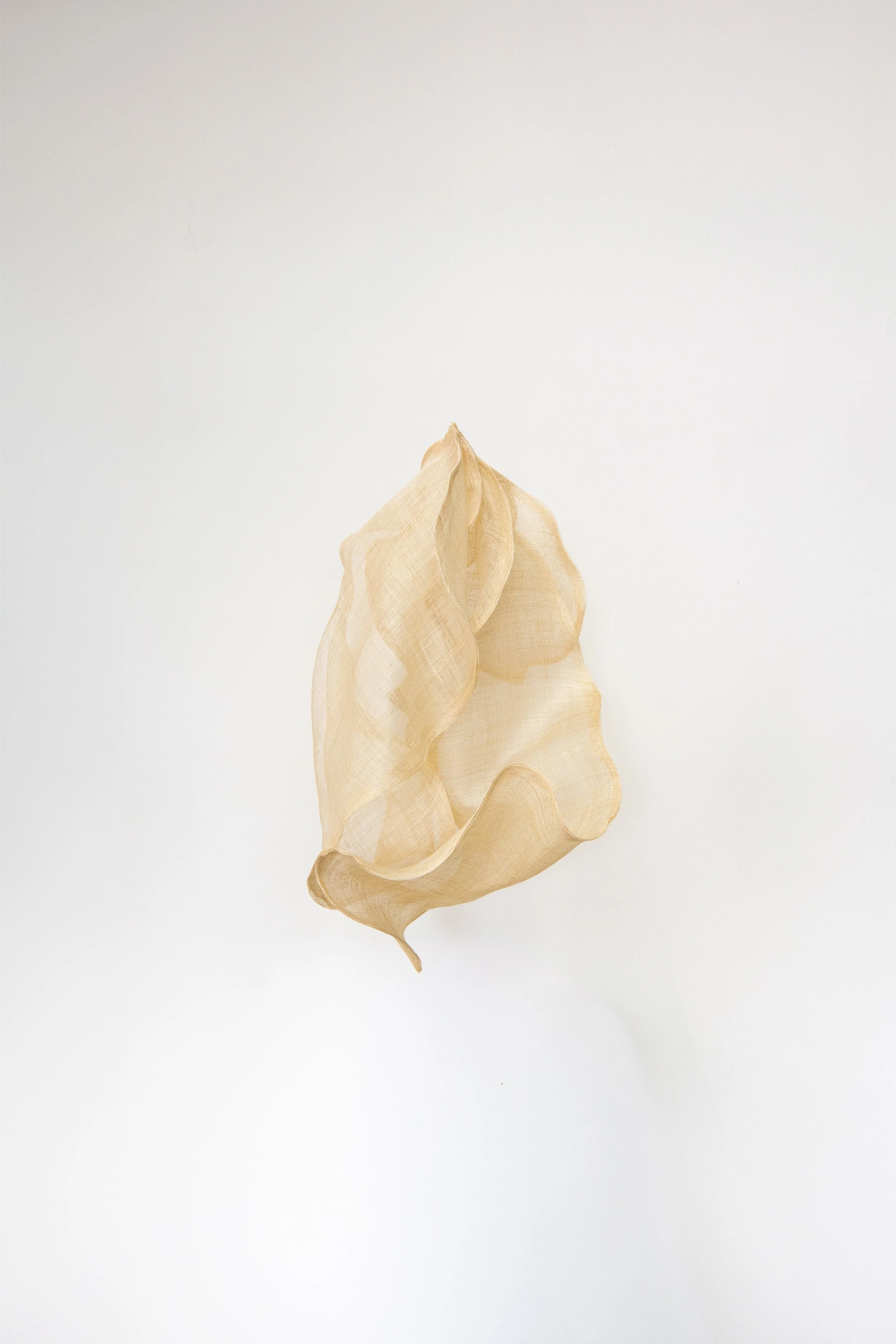 Alga by Eliurpi, contemporary artwork at SUN.CONTEMPORARY in Pererenan, Bali