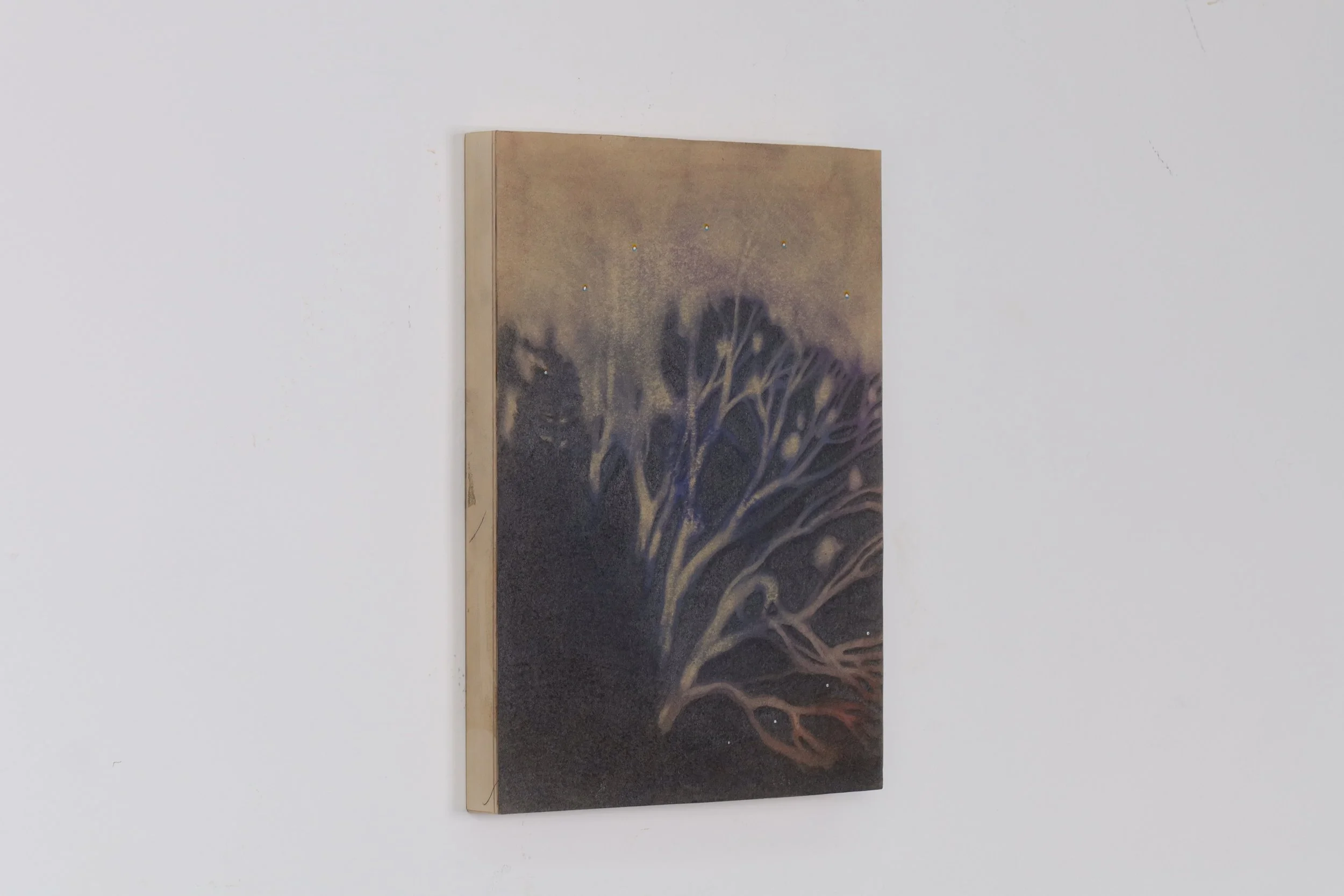 Eraser drawing on BFK with graphite, watercolor, coloured pencil, and acrylic titled “Ancestor”, 2024, by Terra Keck, exhibiting artist at Sun Contemporary Gallery, Bali.